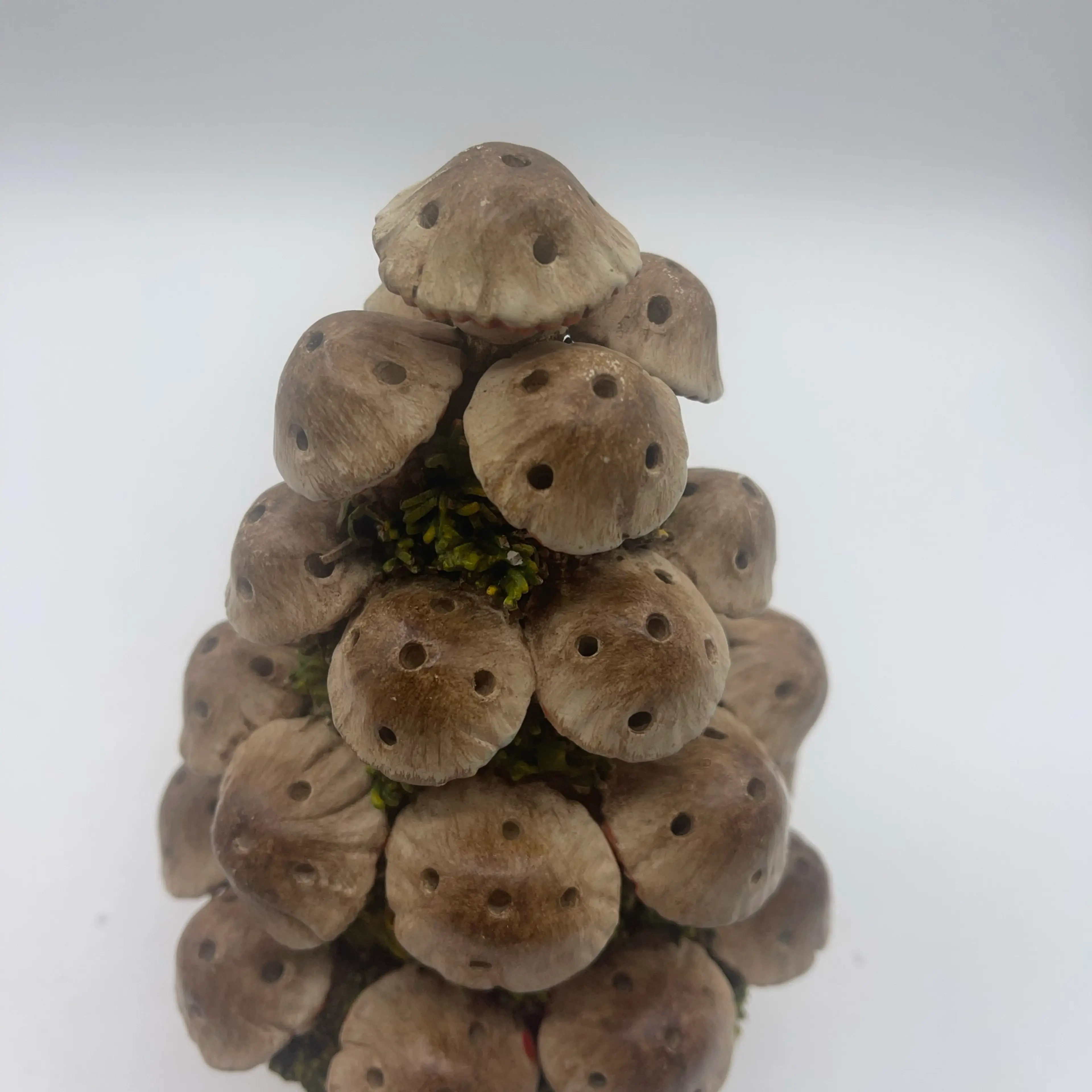 Image 2 of 7