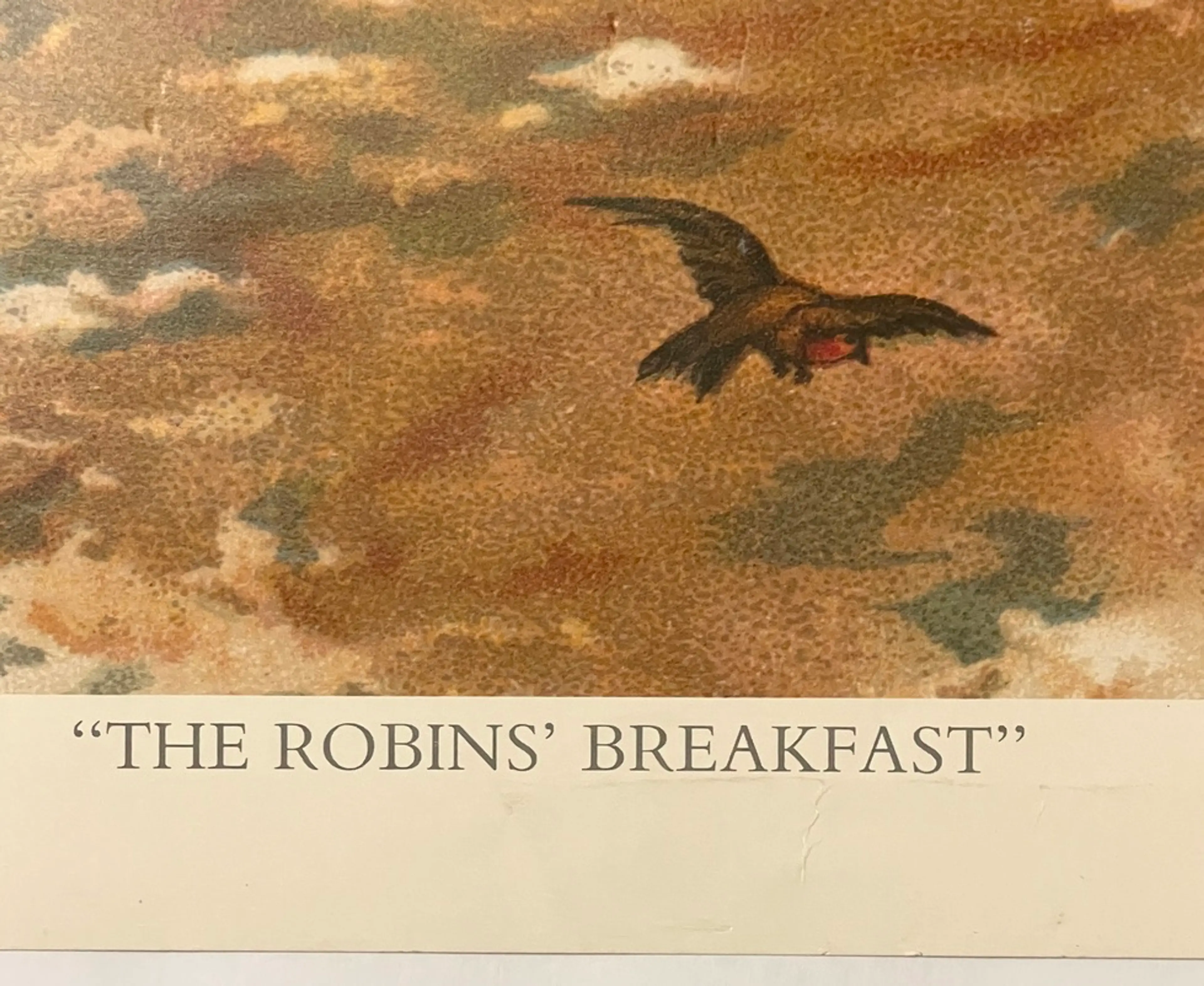 Image 4 of 13