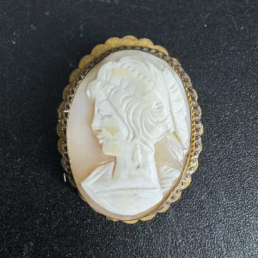 Vintage Left Facing Cameo Pin & Pendant Brooch