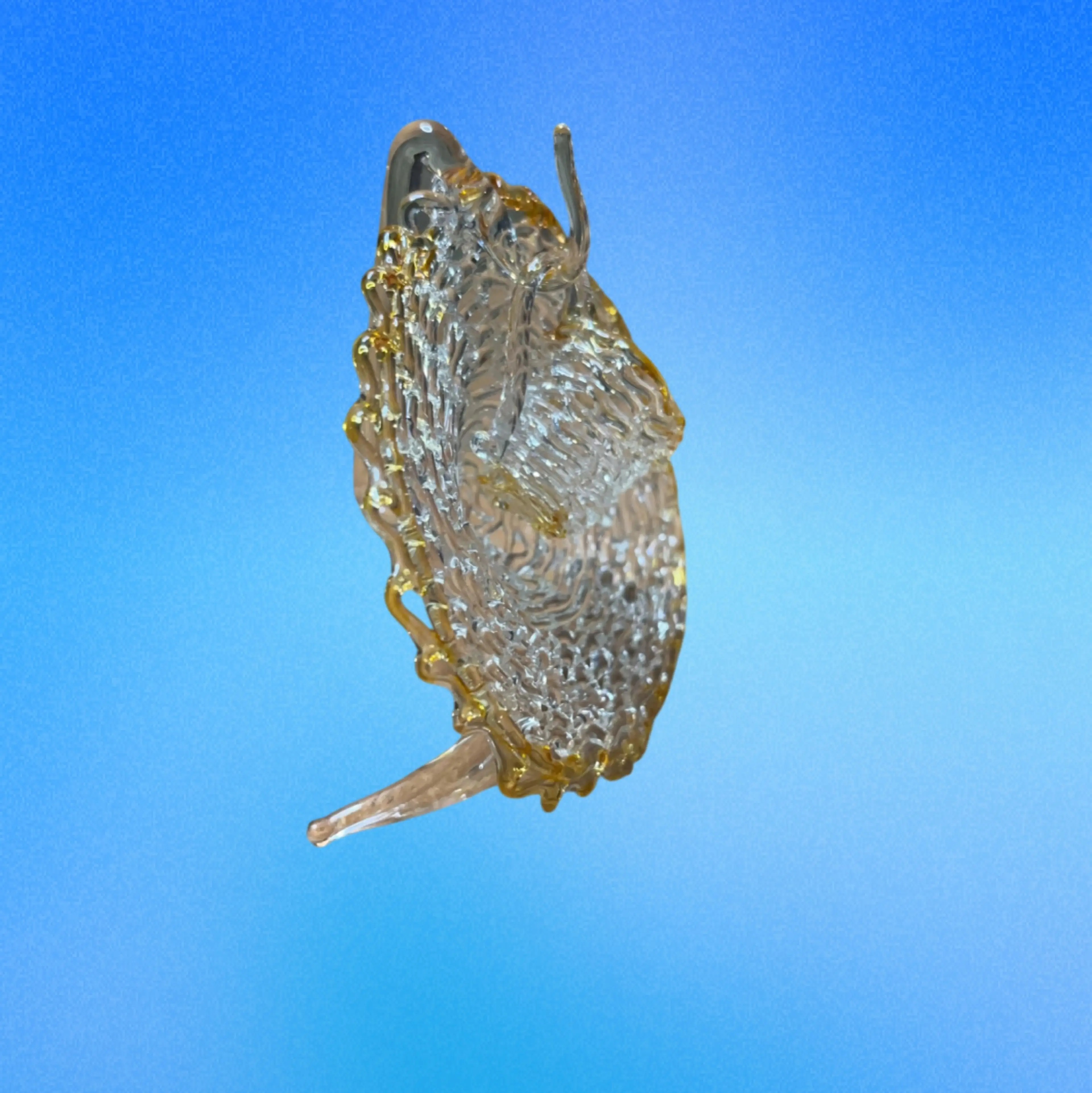 Image 4 of 5