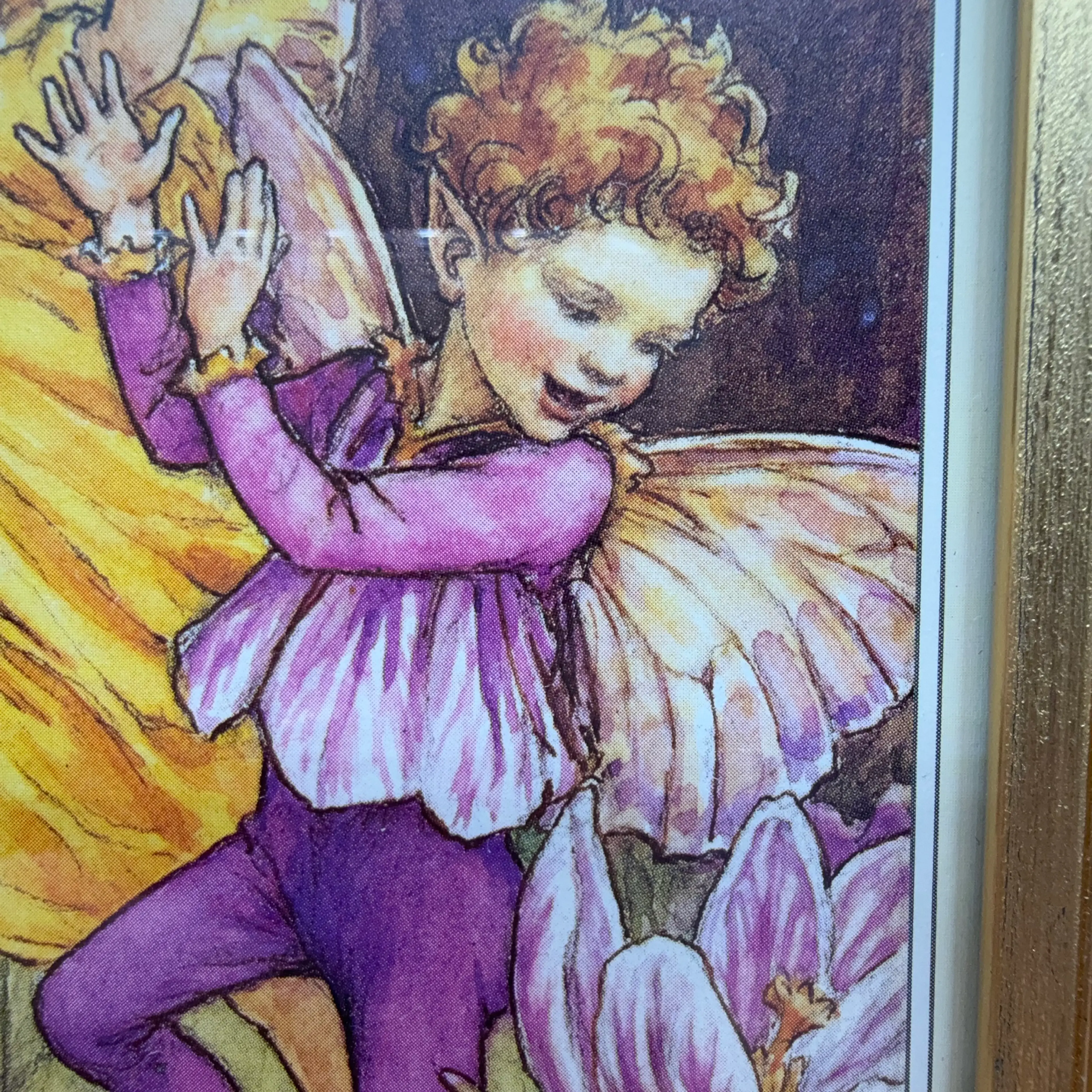 Image 5 of 6