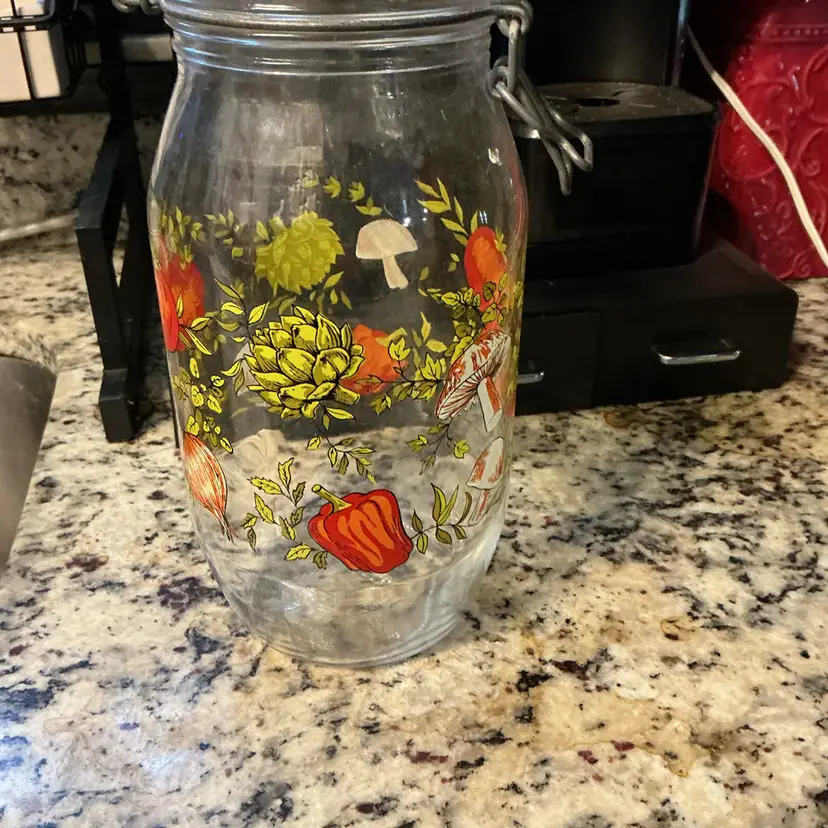 Vintage Spice Of Life Glass  Canister W/ Hinged Wire Bail Closure 2 Liter 1970💞