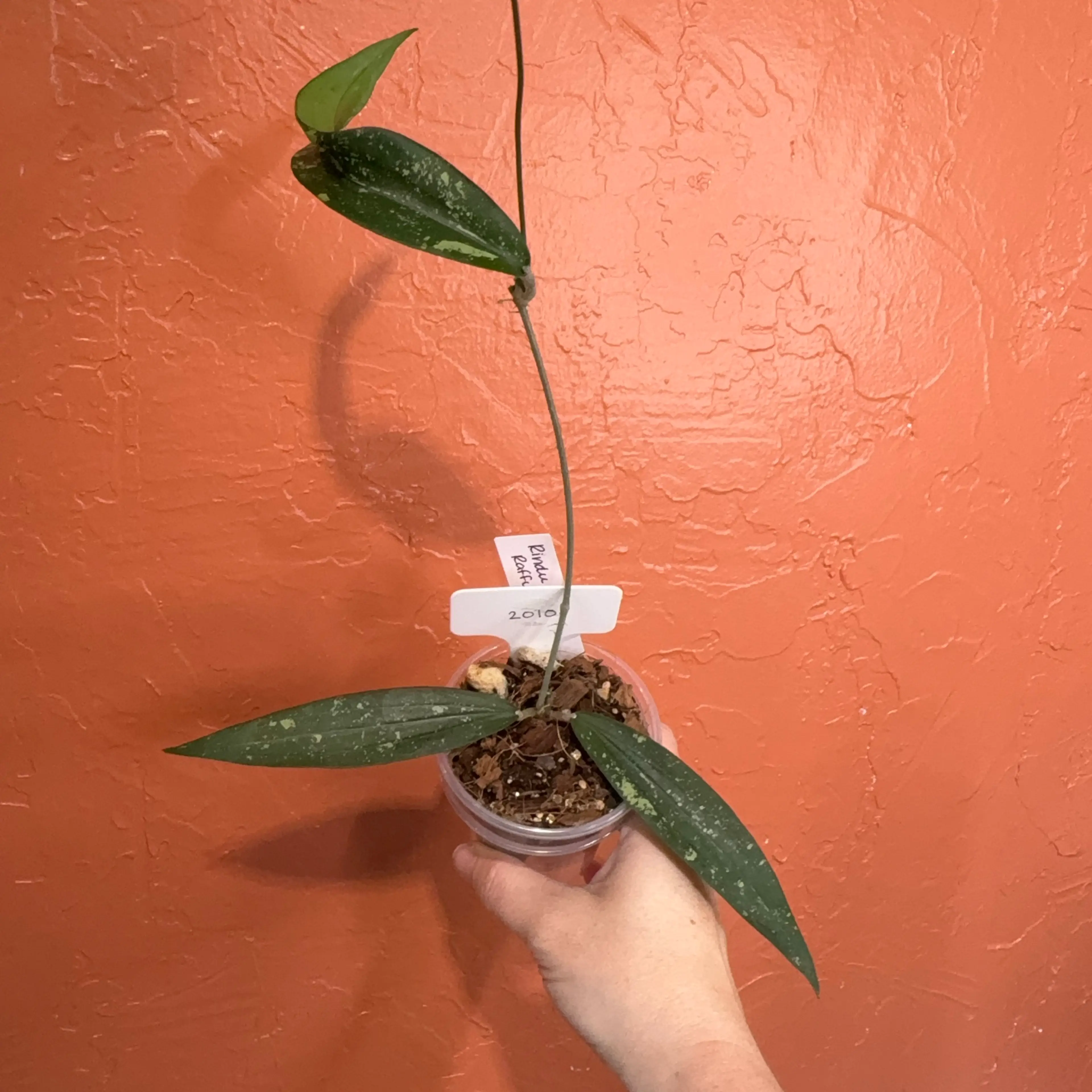 Image 1 of 3