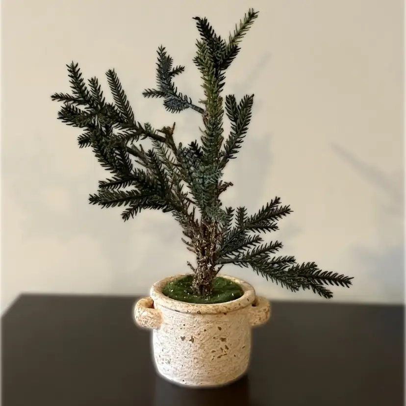 Ragon House 11” Pine Tree in Ceramic Pot w/Handles