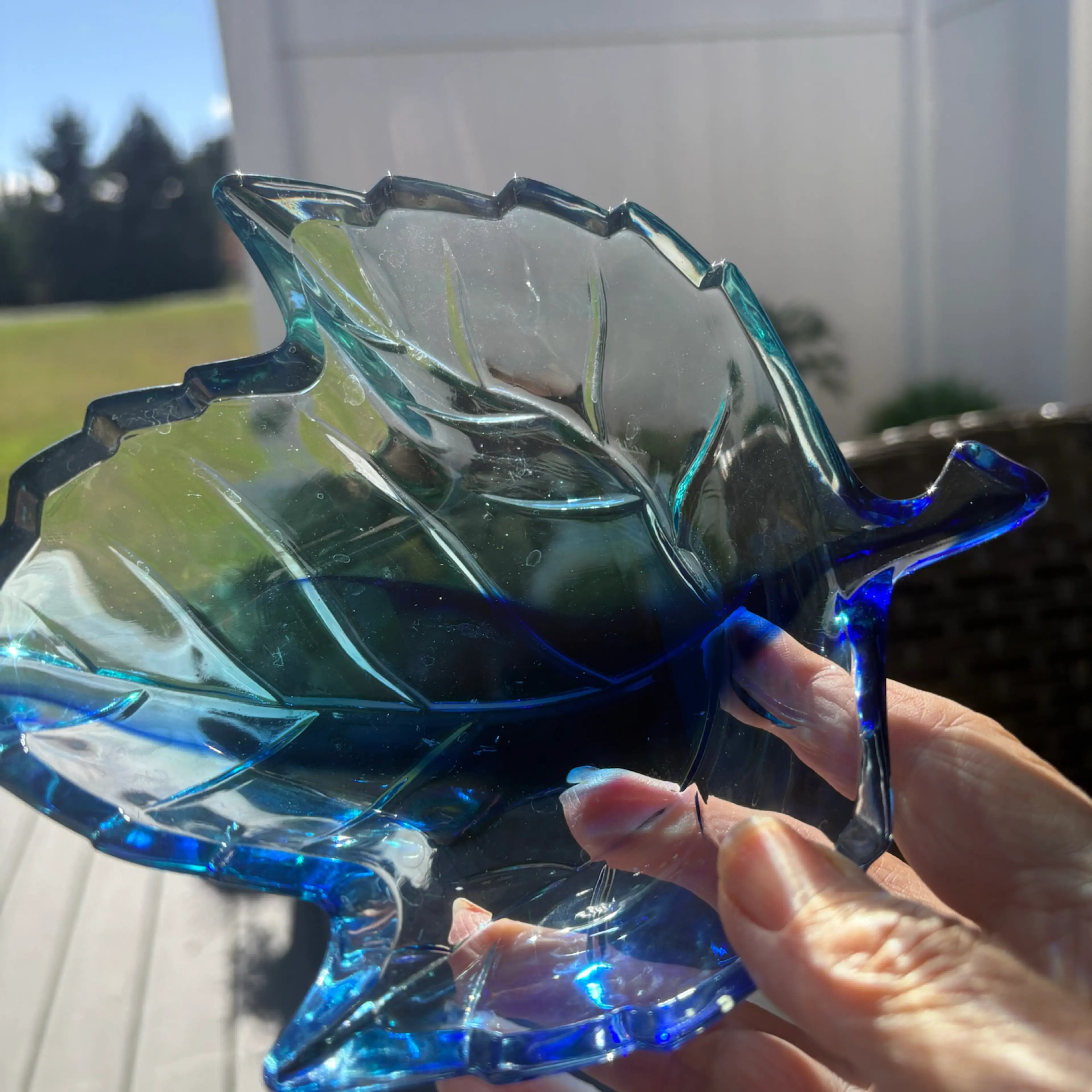 Image 2 of 5