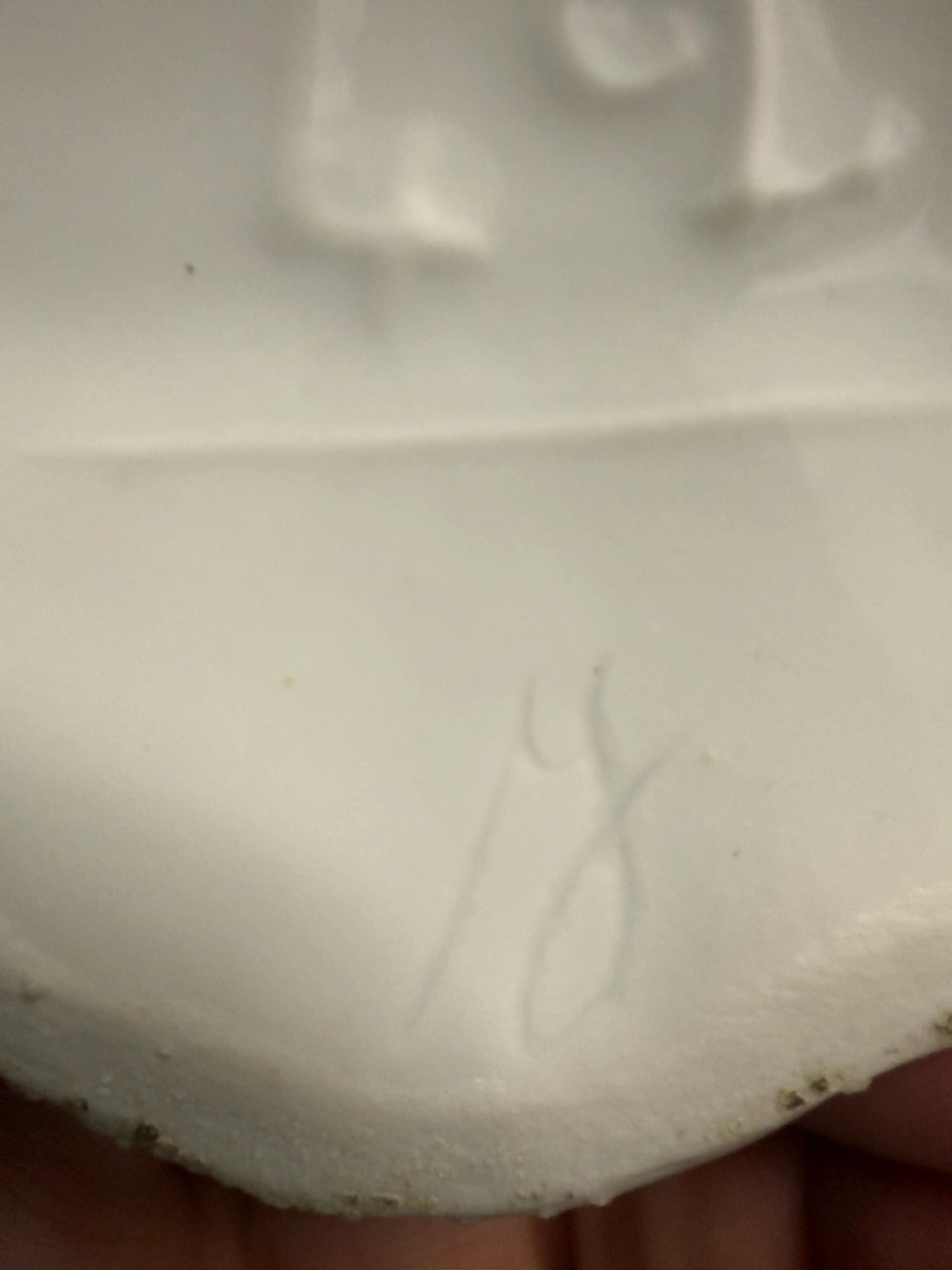 Image 3 of 12