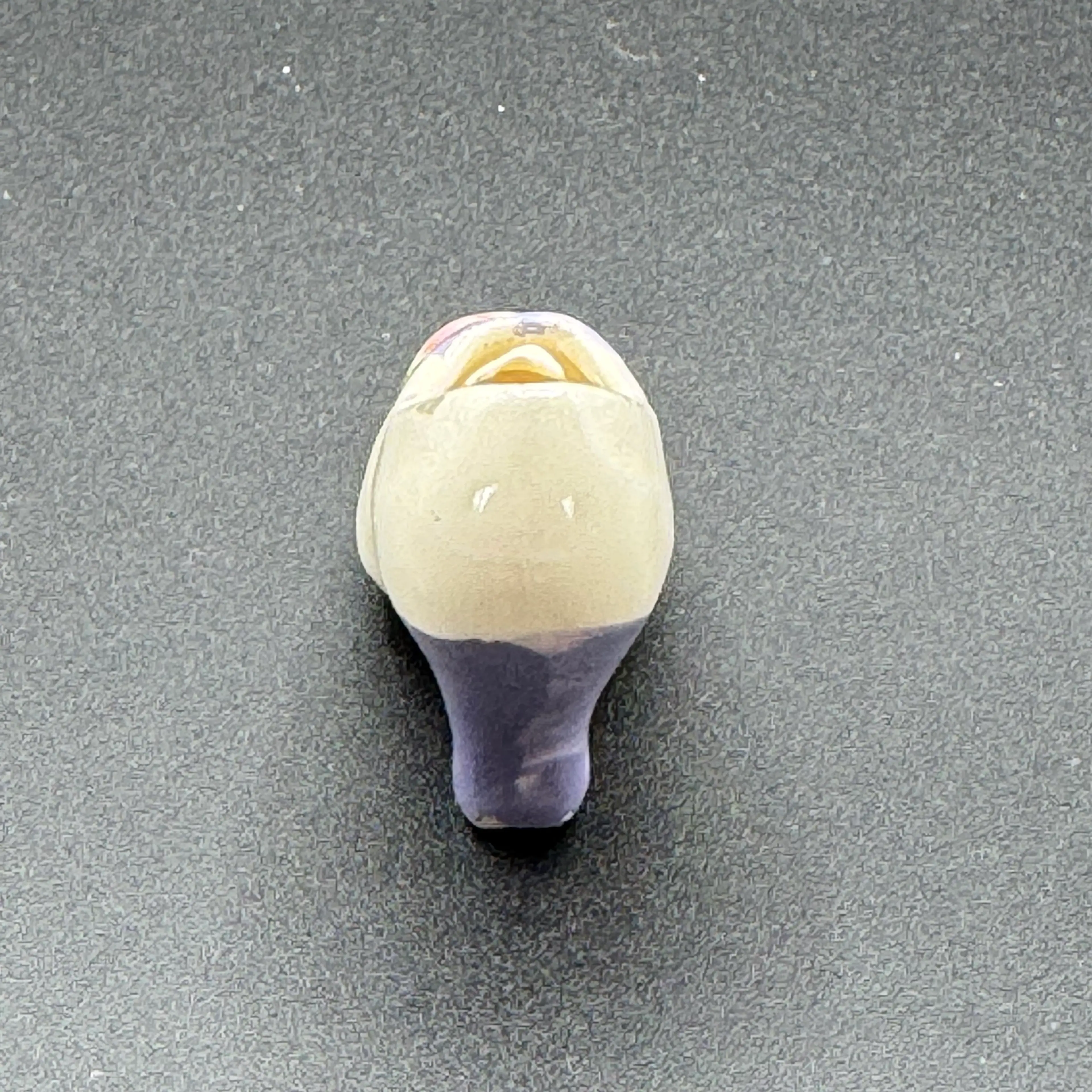 Image 2 of 8