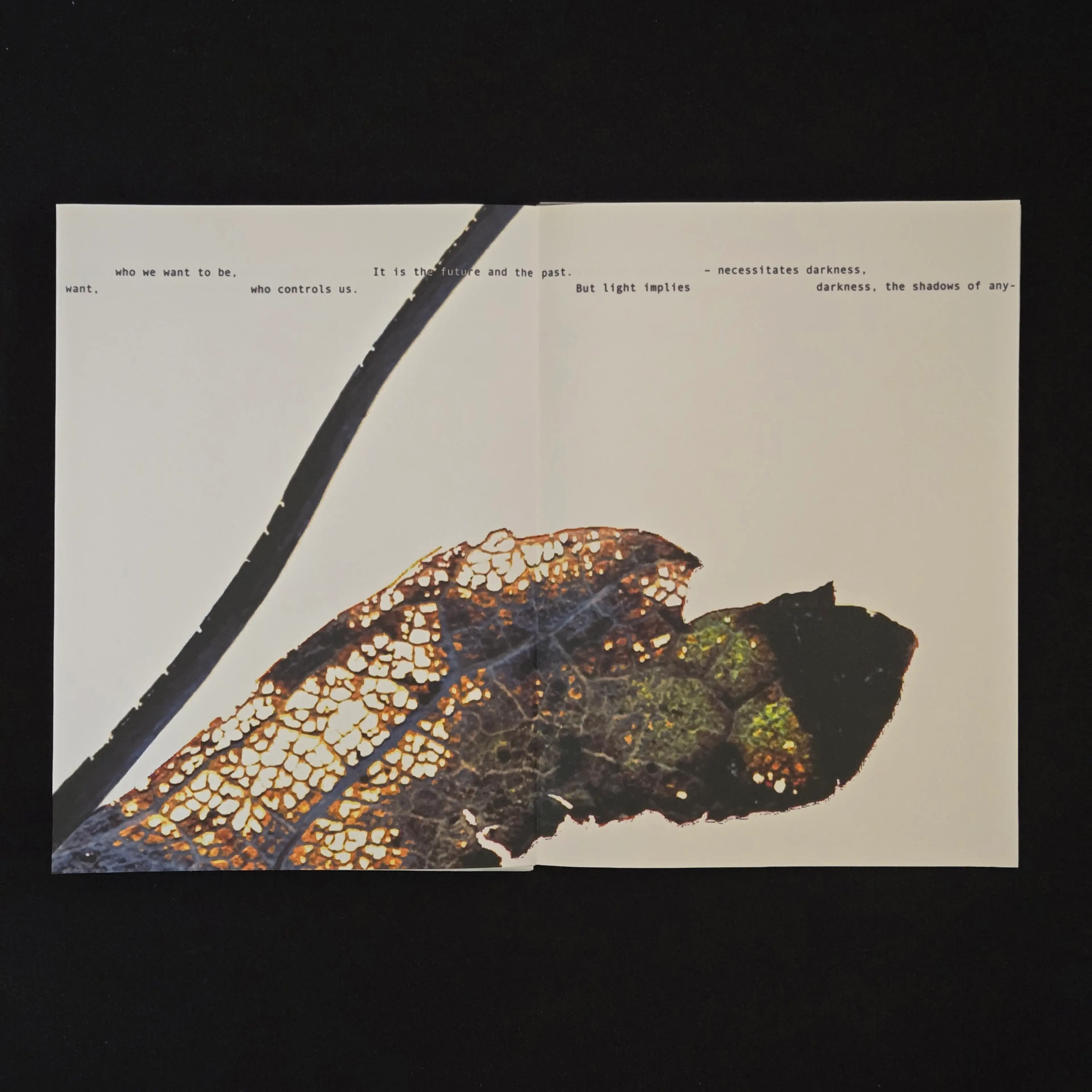 Image 2 of 8