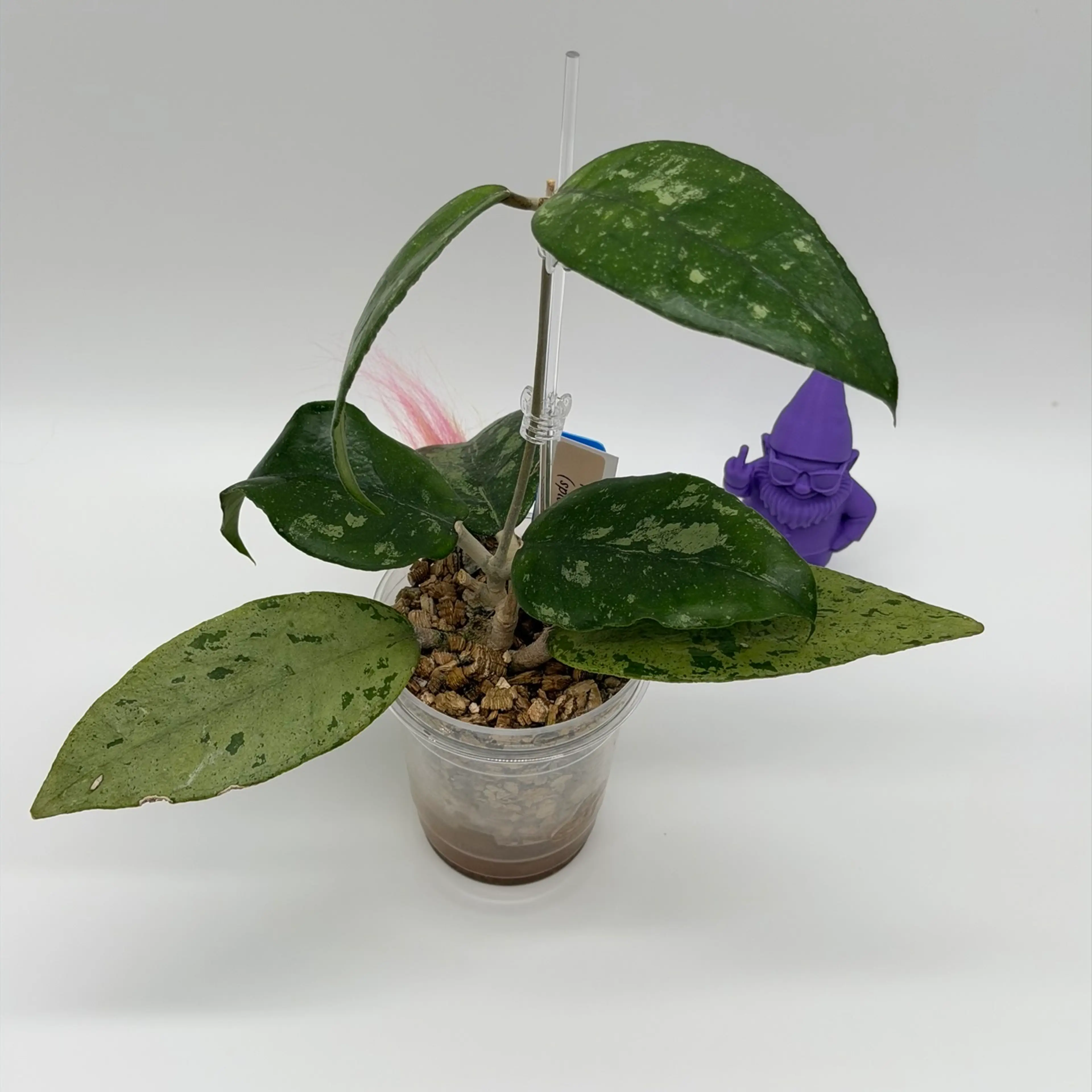 Image 4 of 4