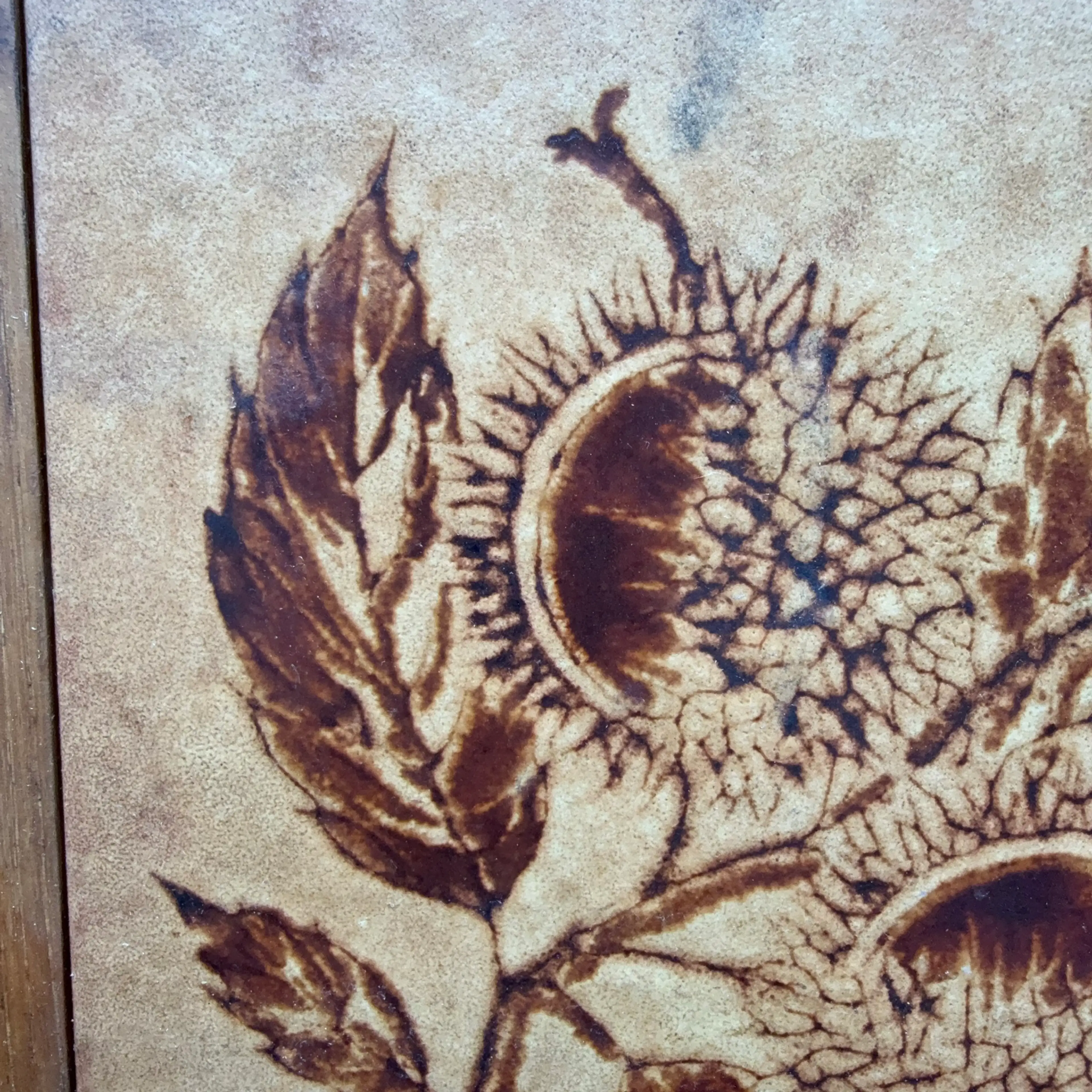 Image 2 of 3