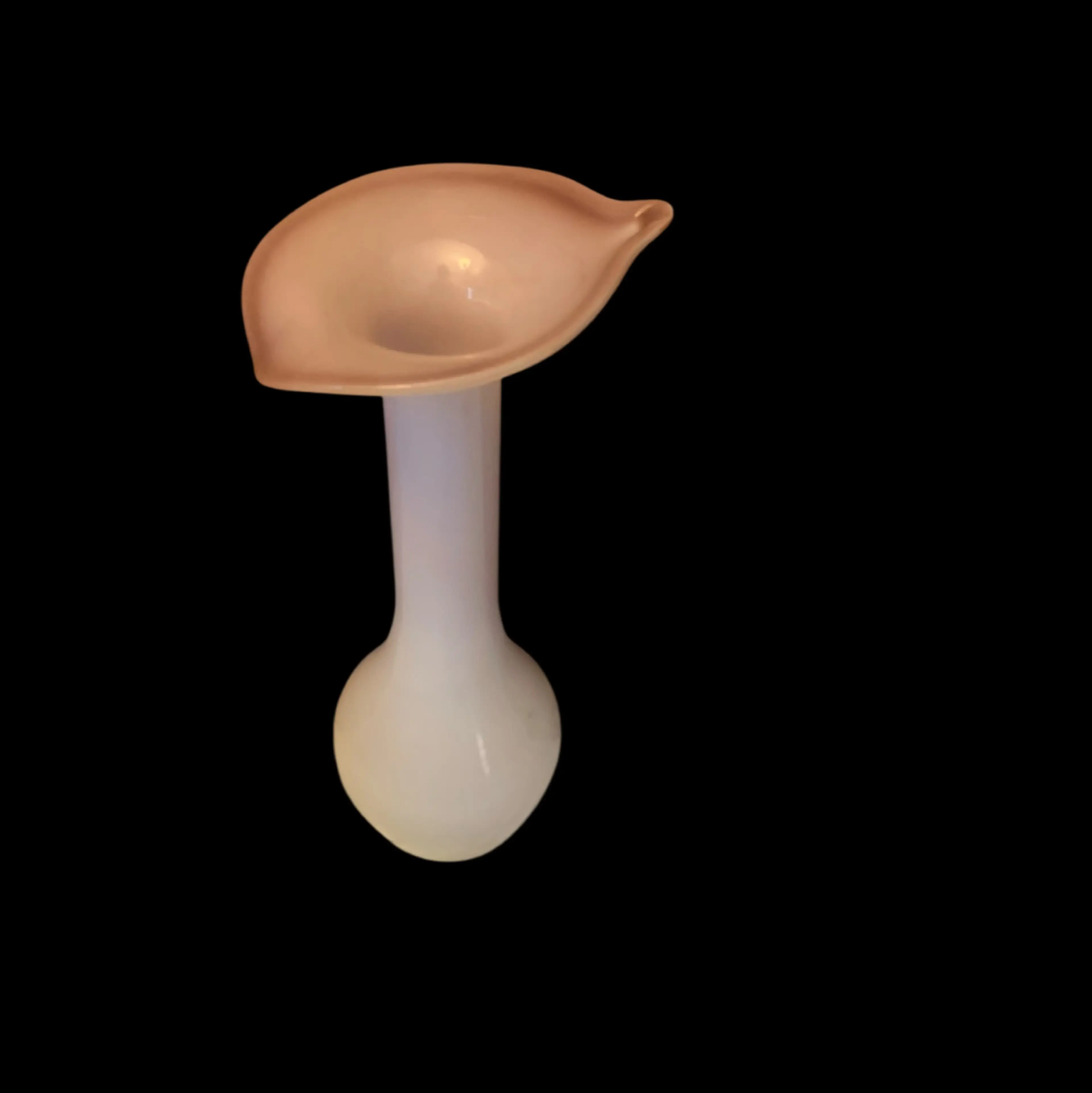 Image 2 of 5