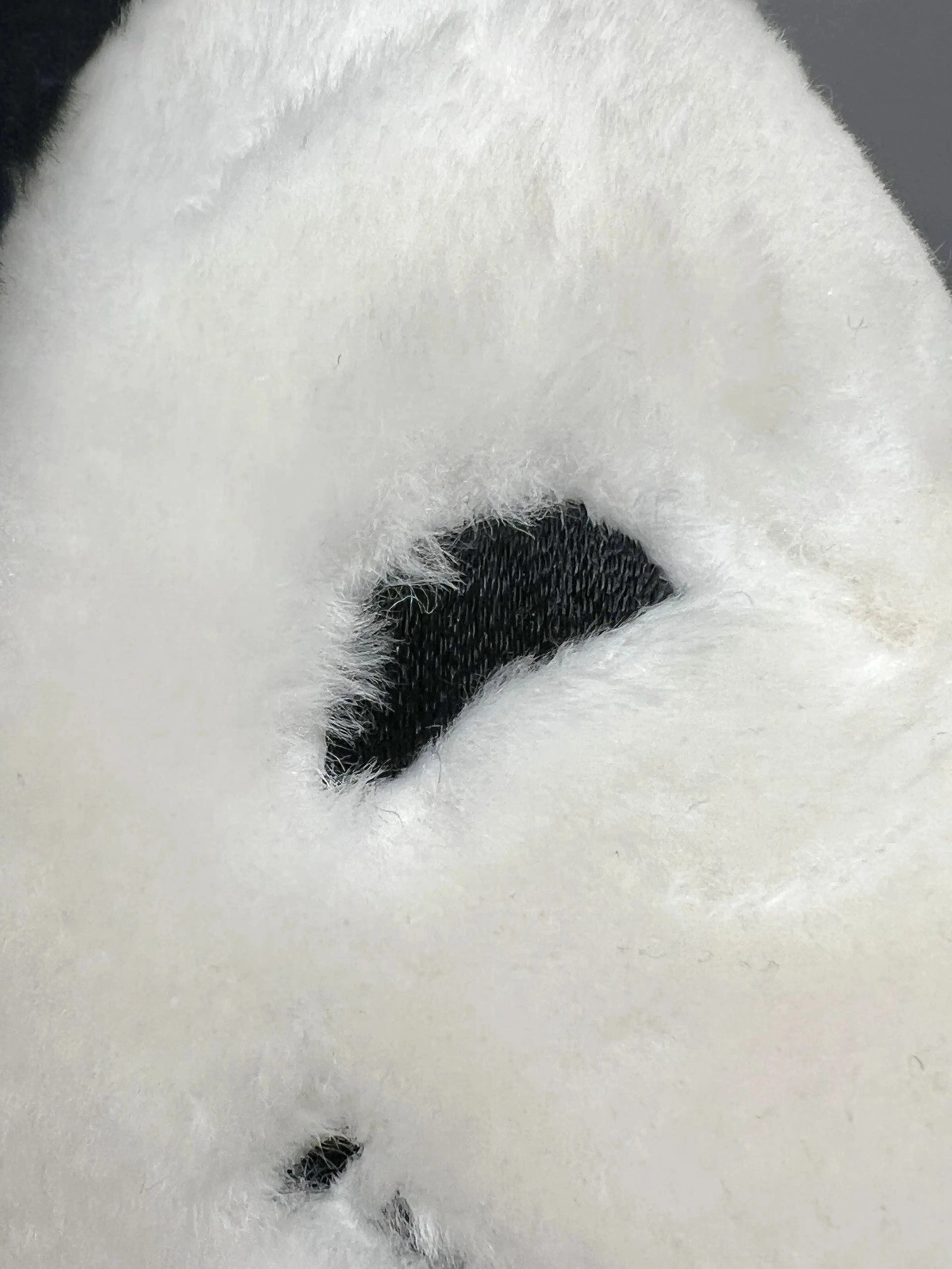 Image 4 of 11