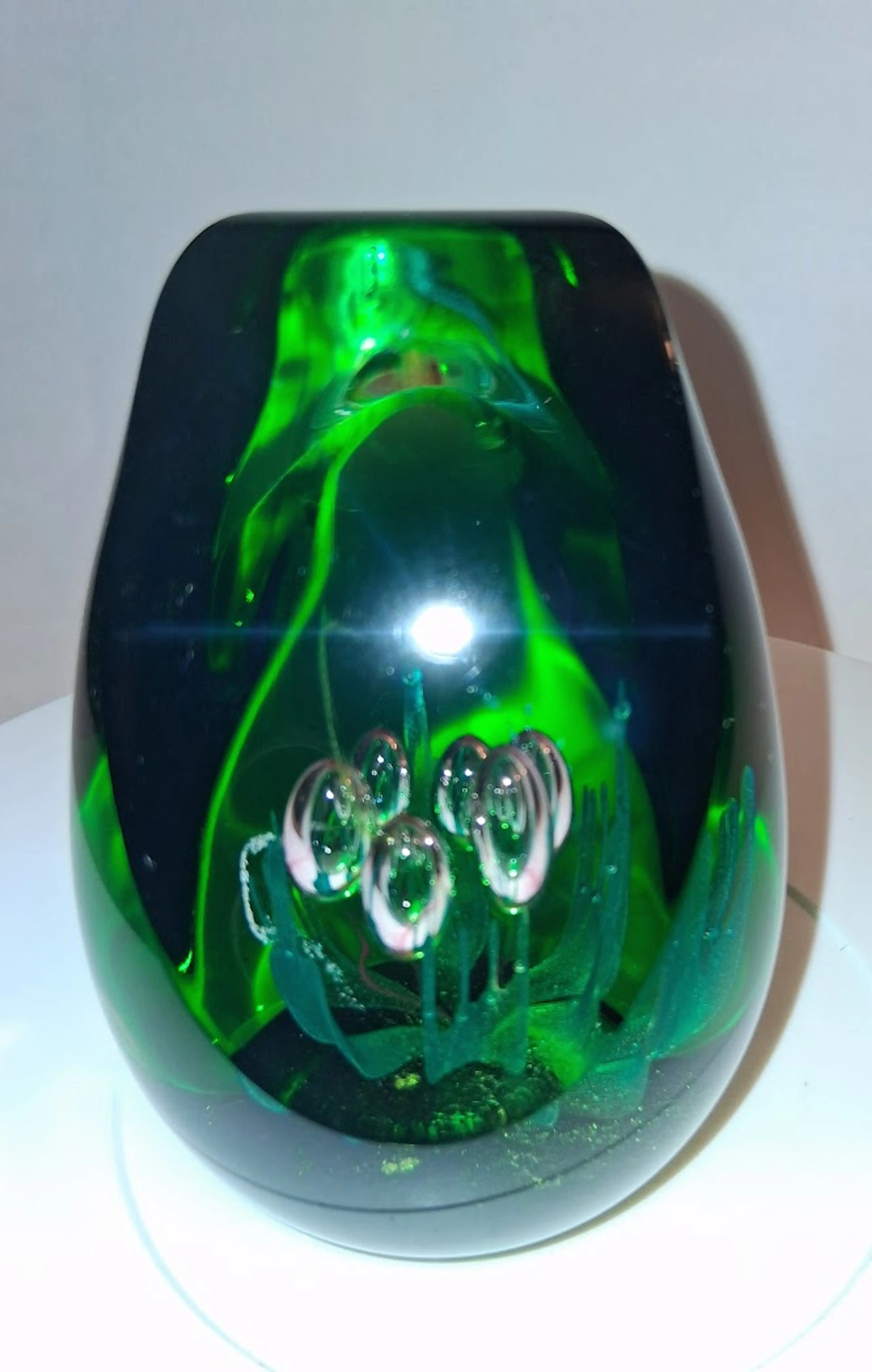 Image 2 of 13