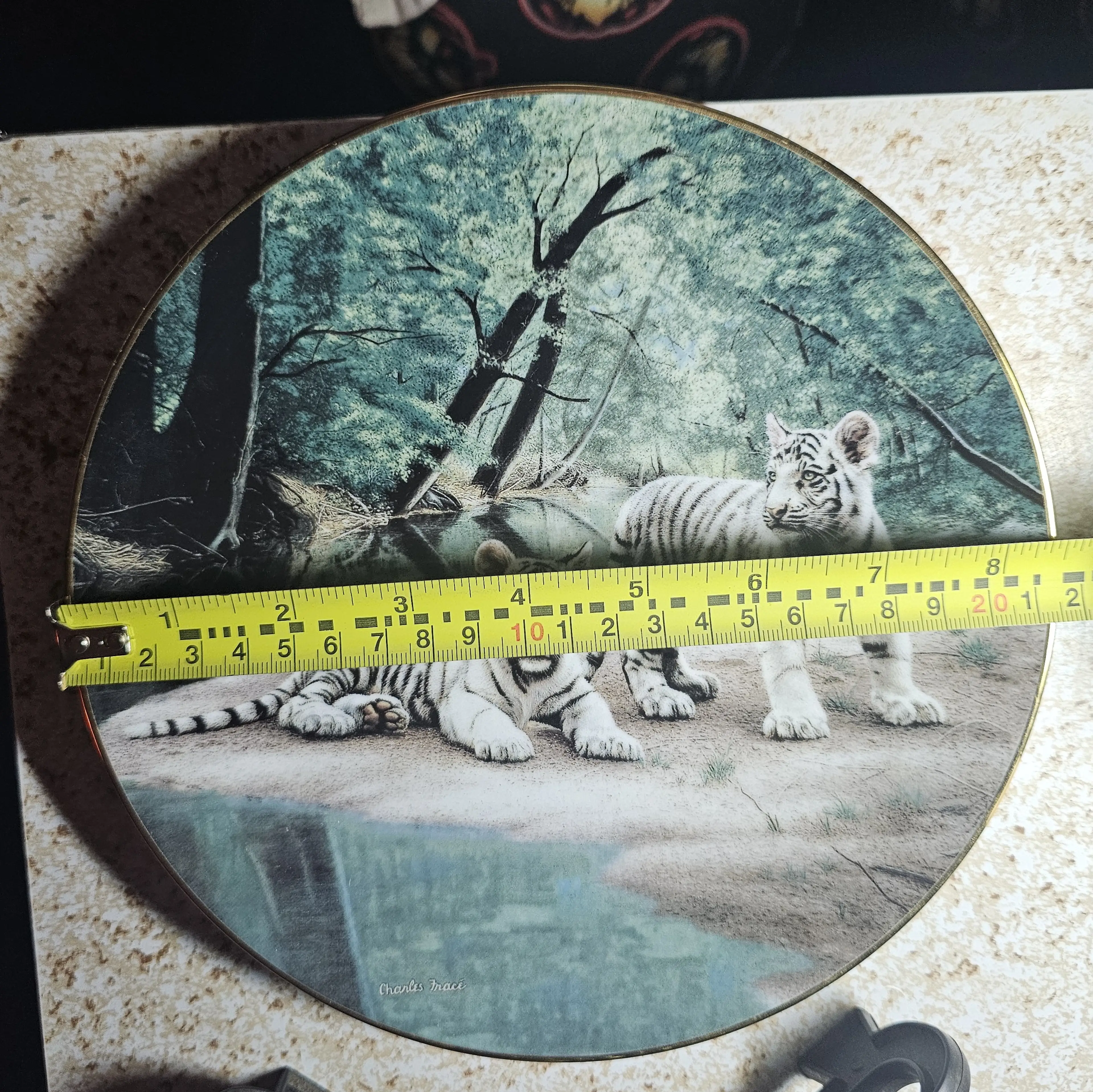 Image 4 of 5