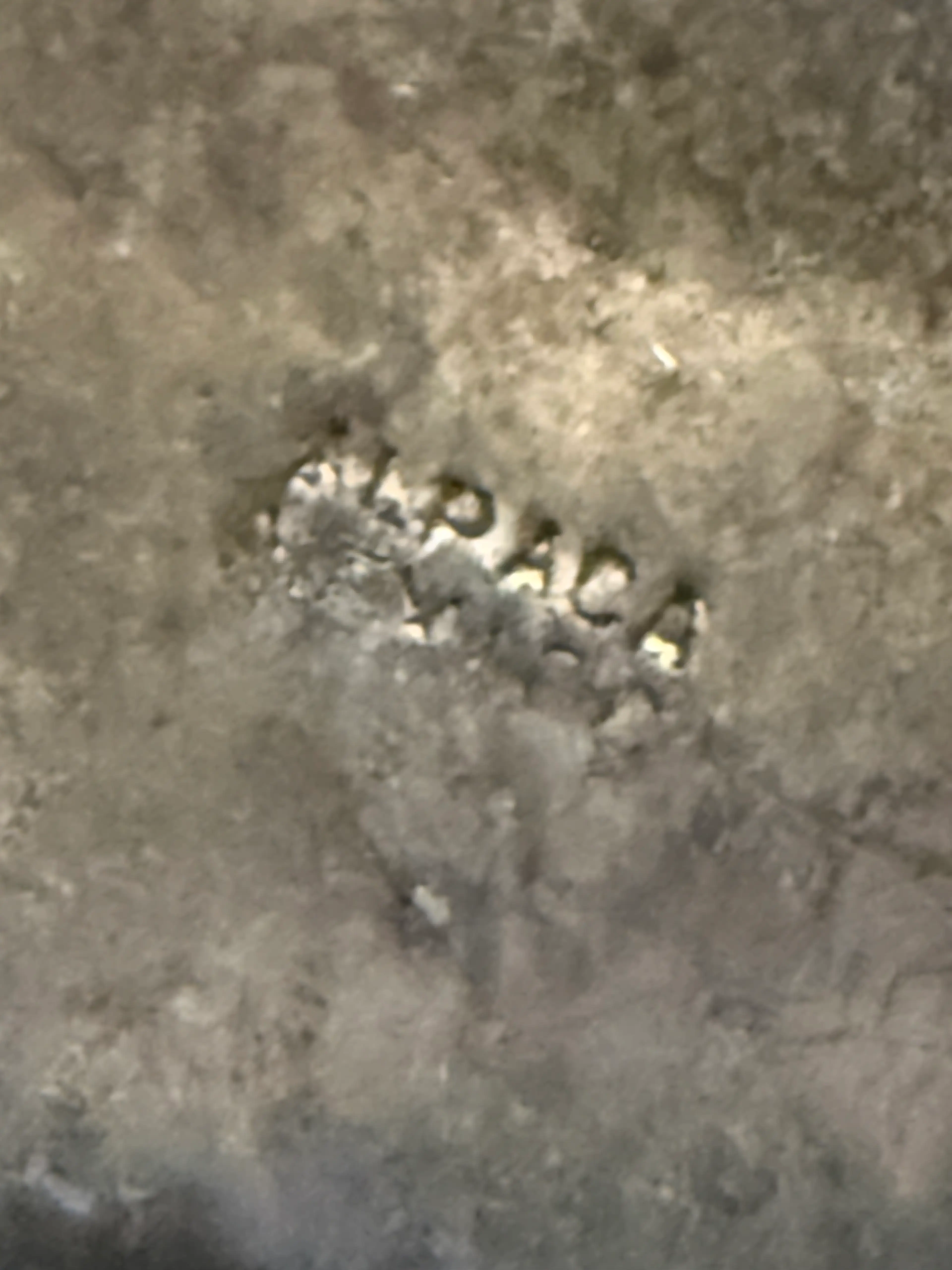 Image 2 of 10