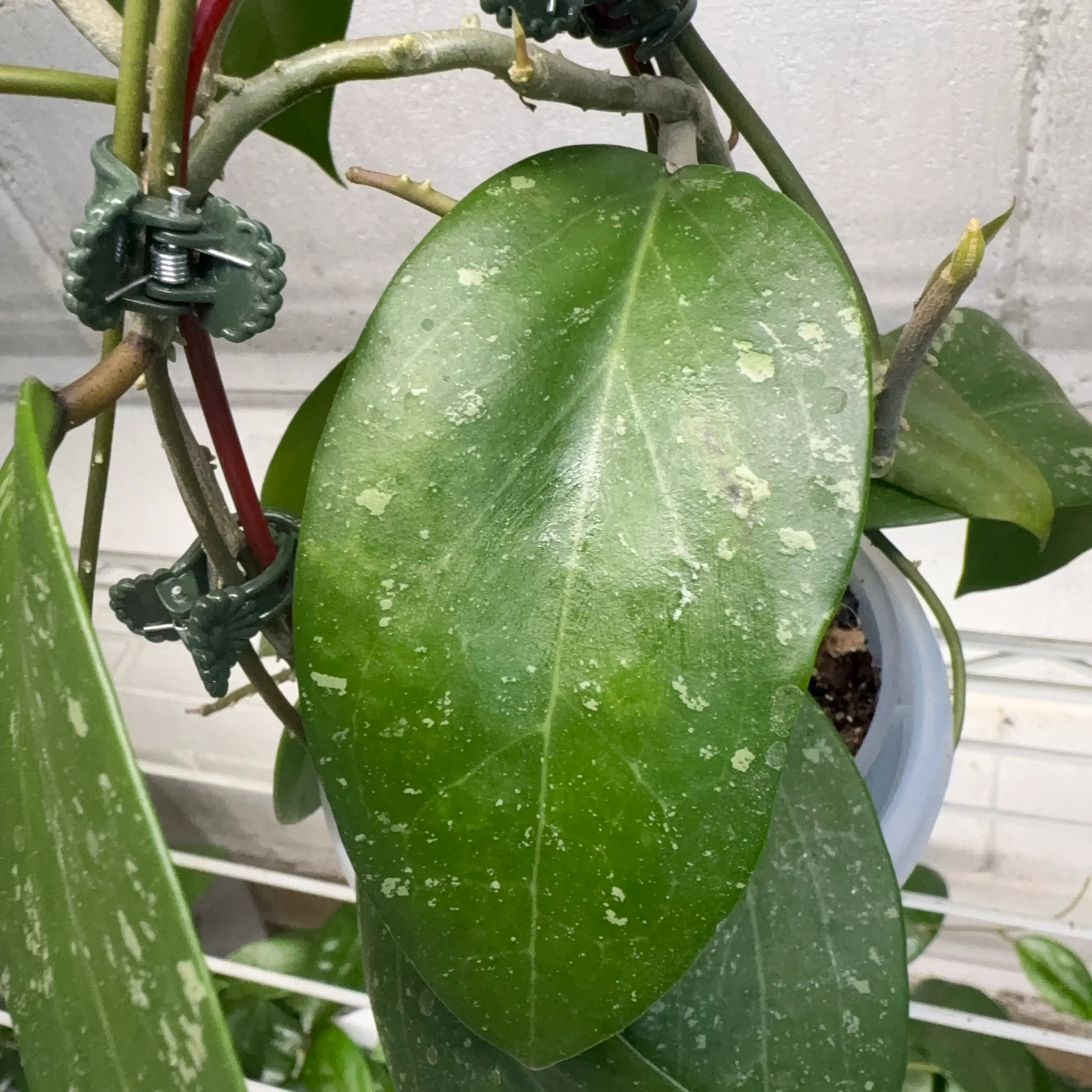 Image 3 of 3