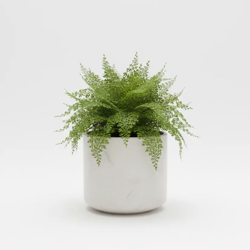 Modern Indoor Planter - Ships Internationally