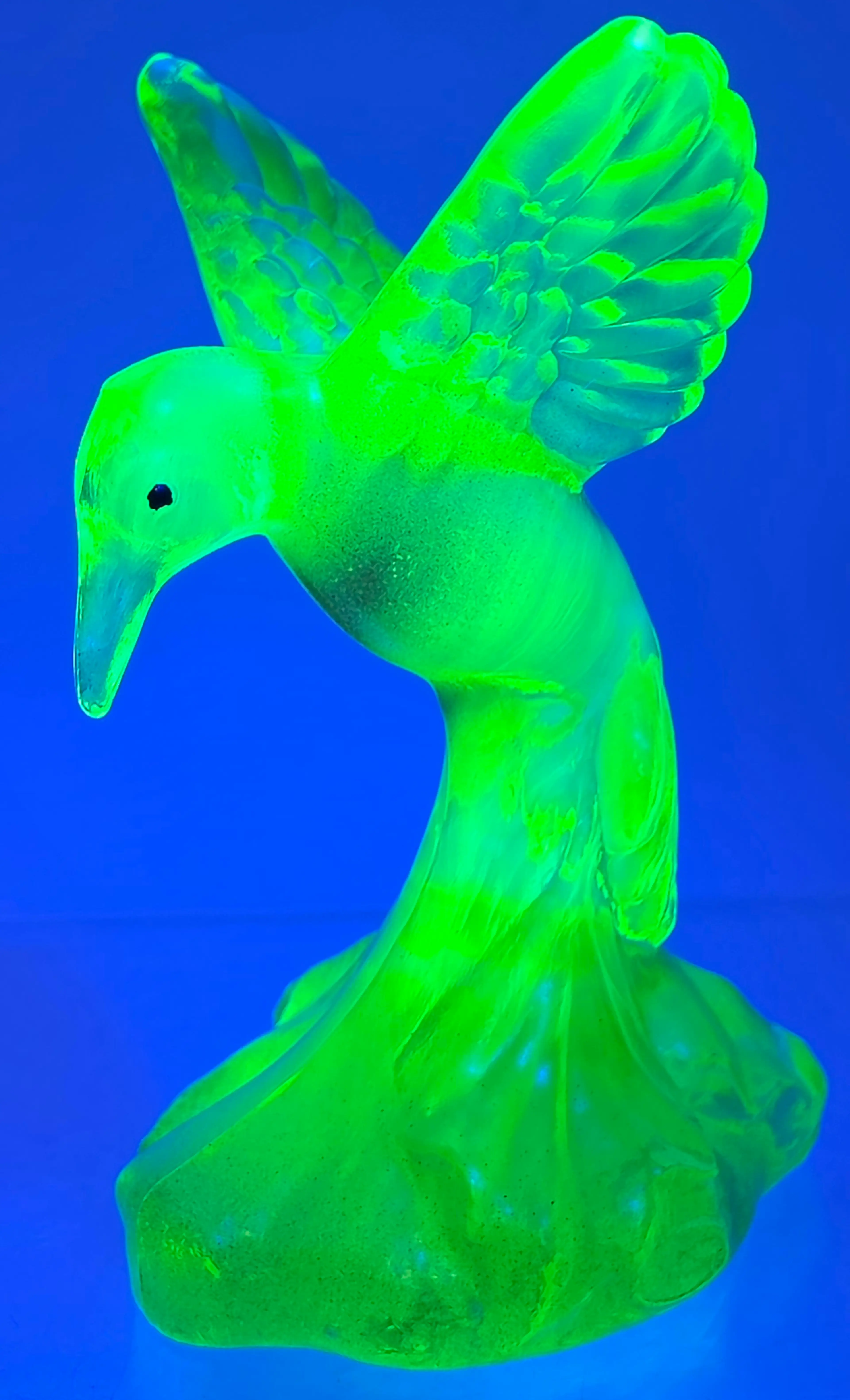 Image 4 of 8