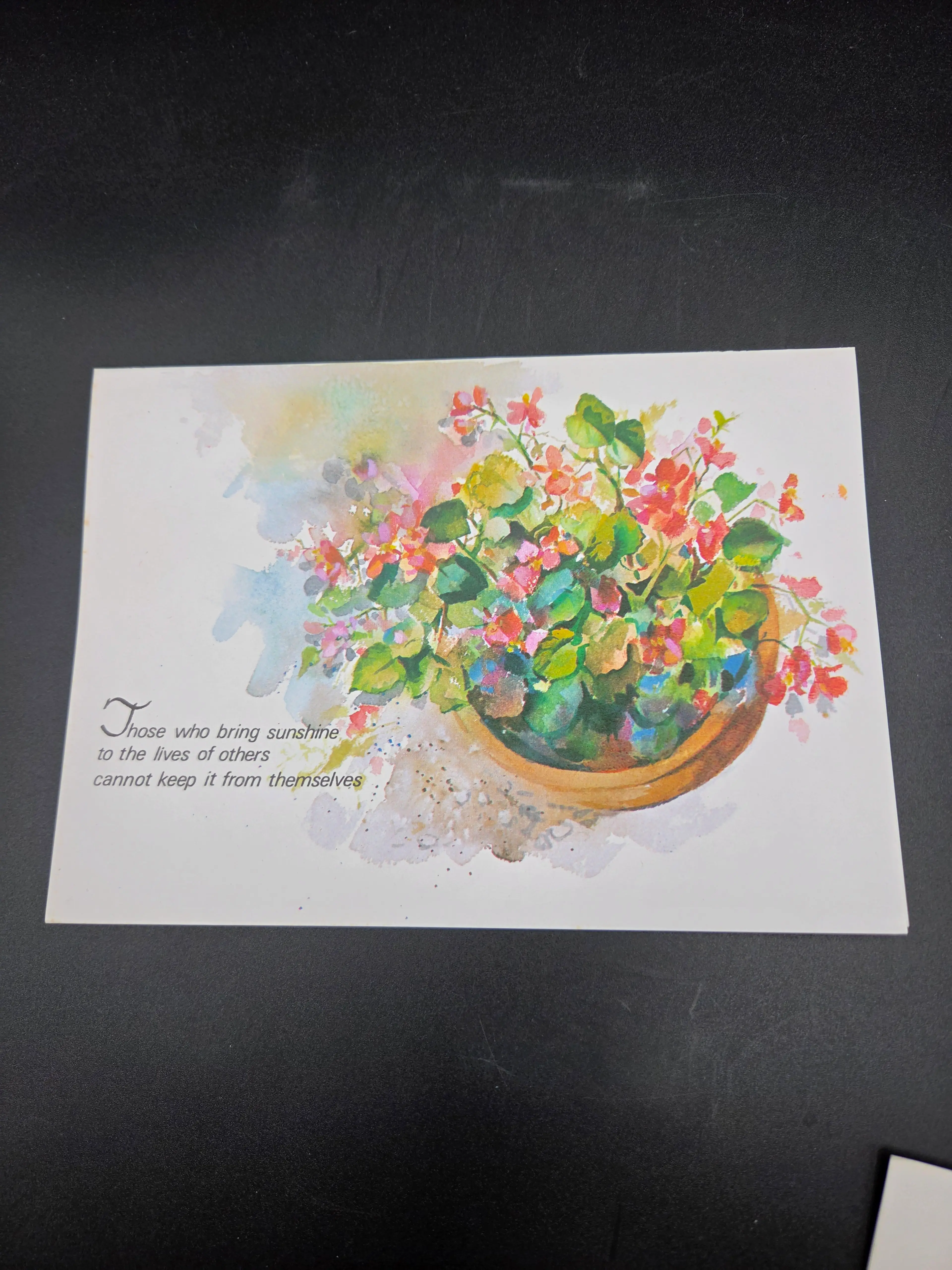 Image 4 of 8