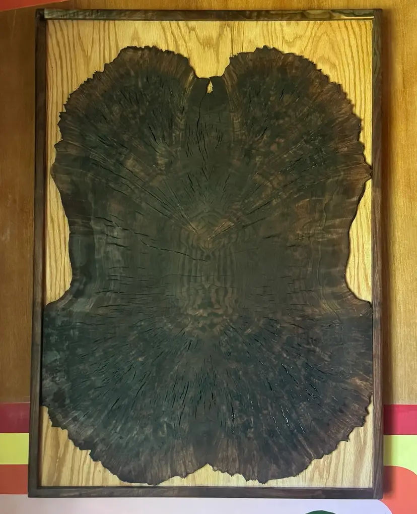 Walnut Burl Wall Art