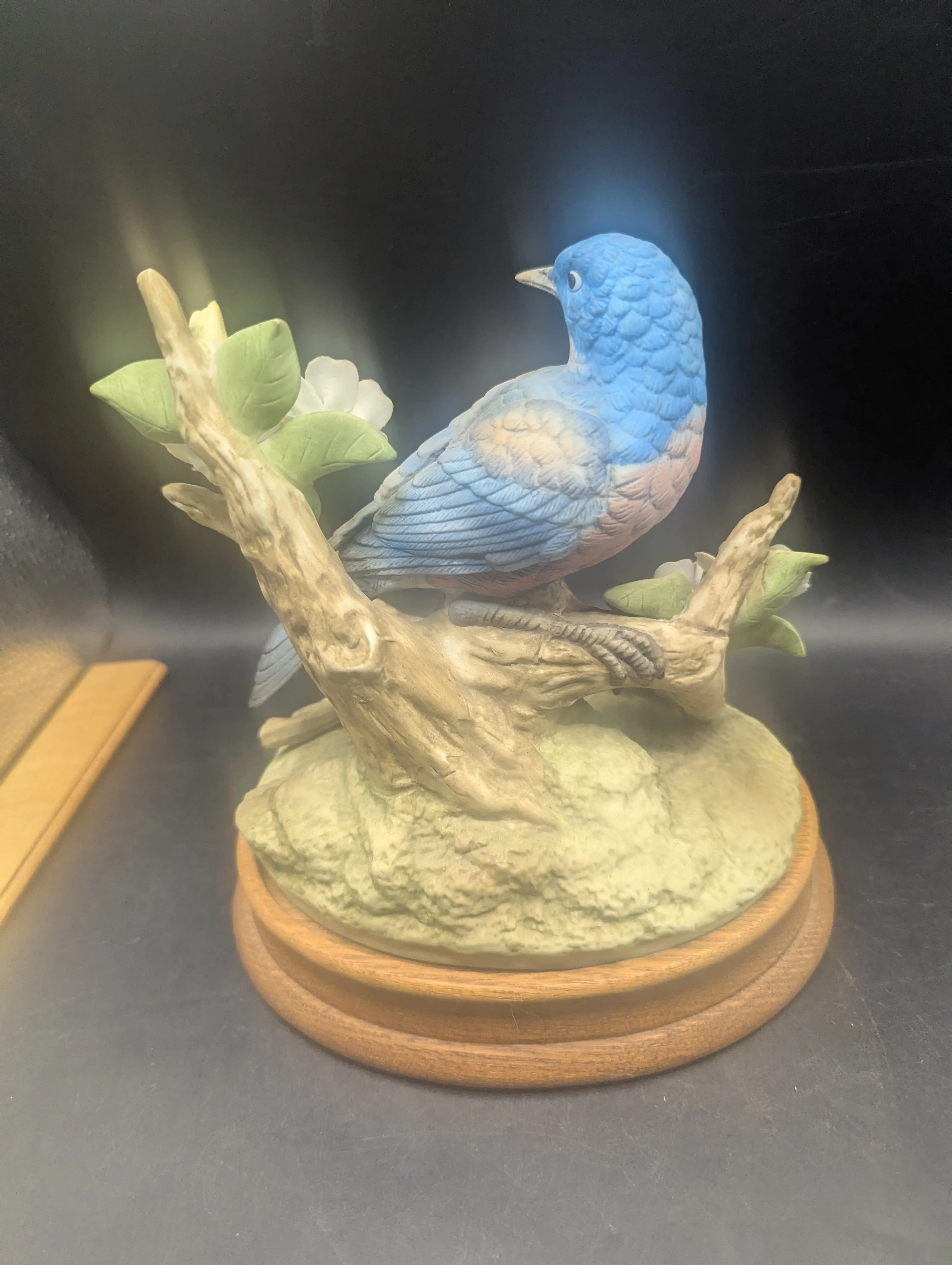 Image 2 of 9