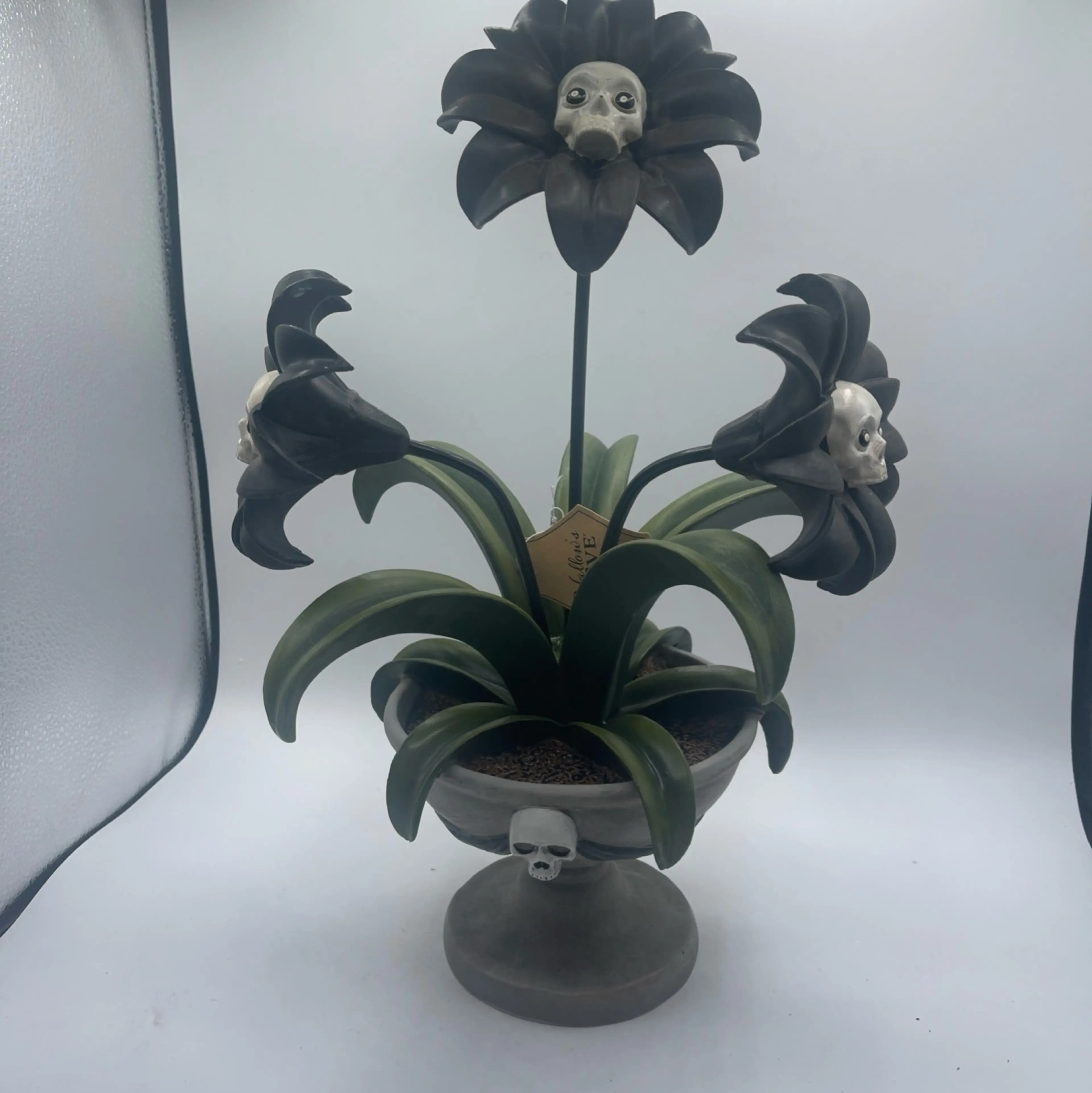 Image 1 of 10