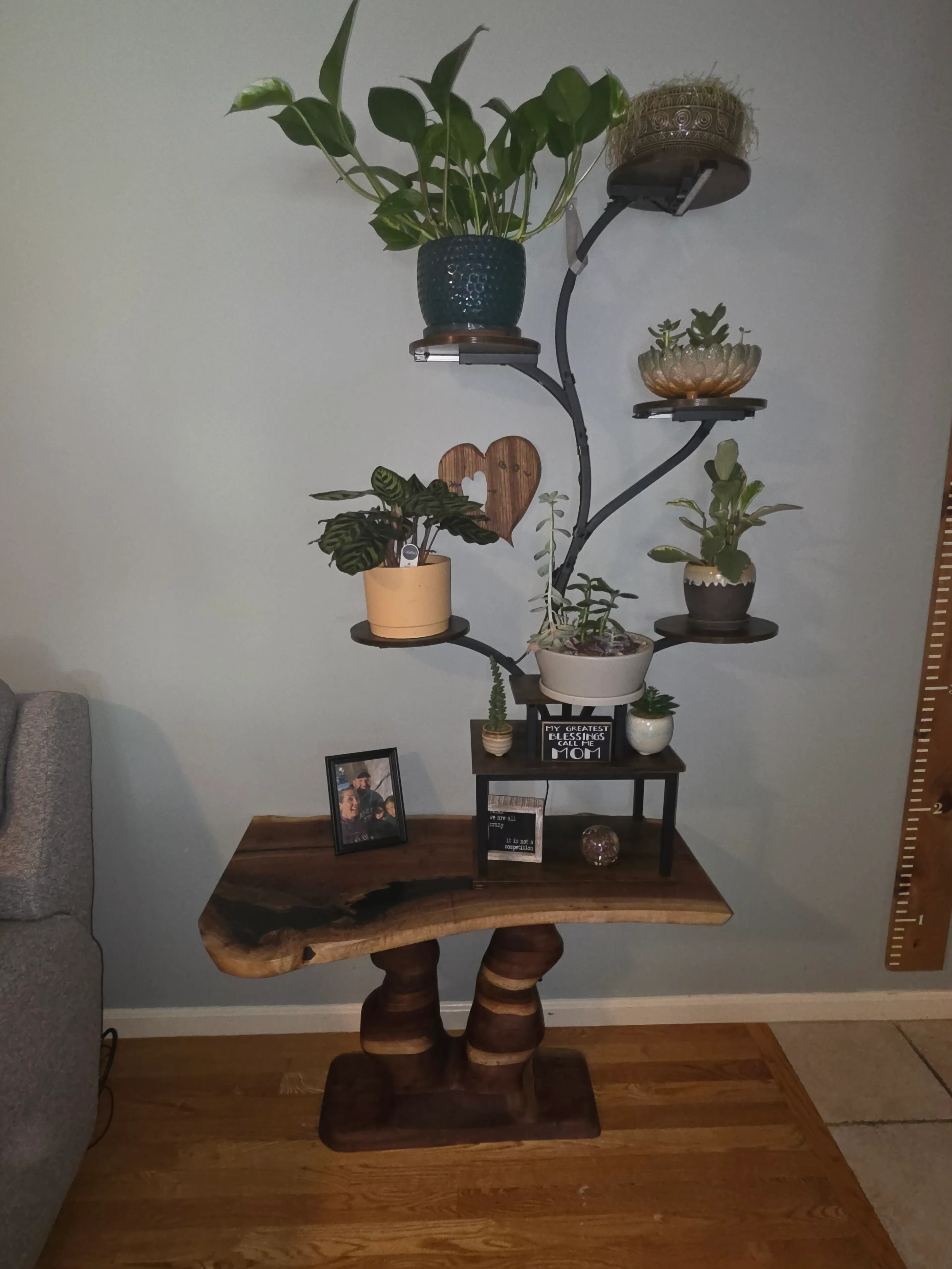 Image 5 of 20