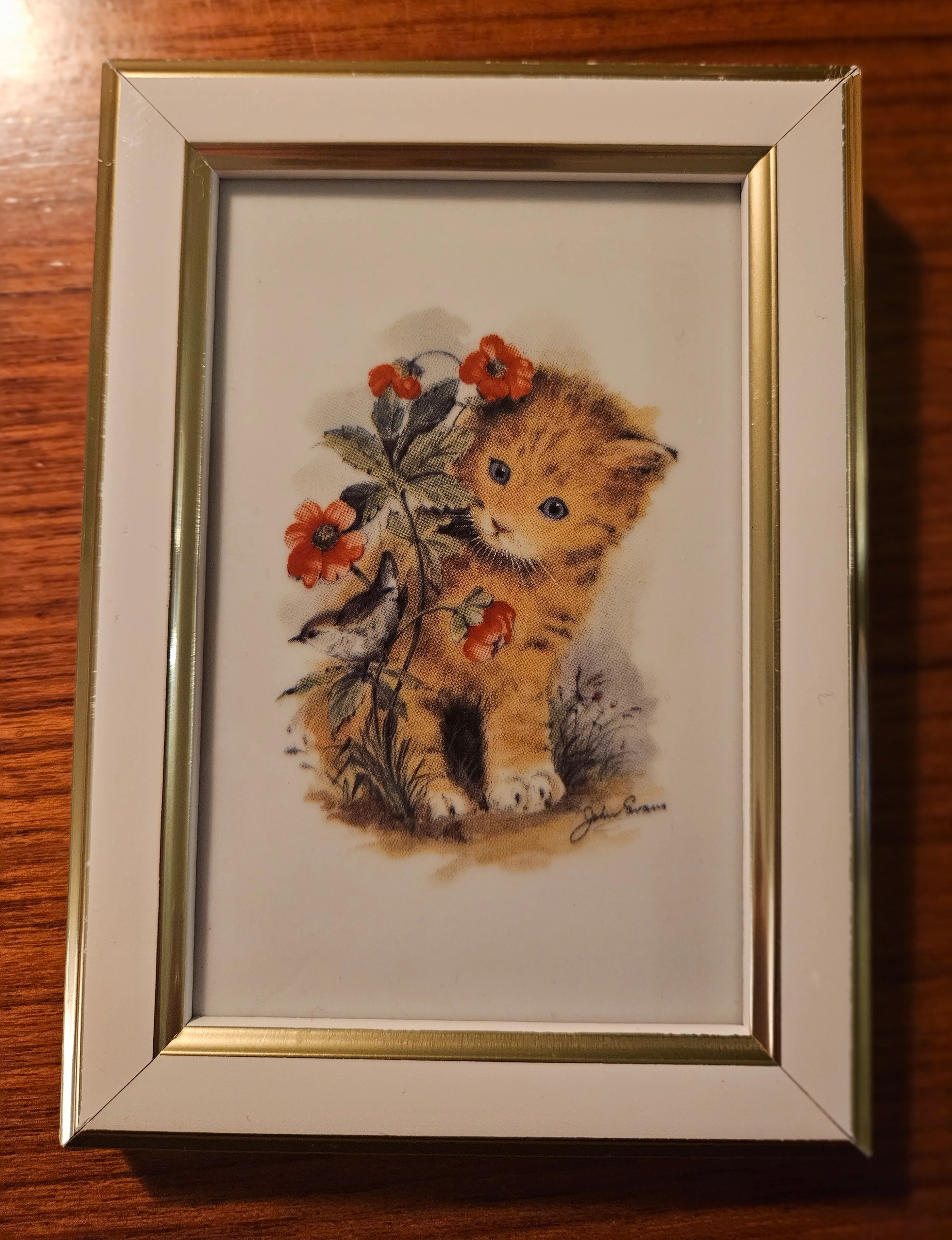 Image 1 of 5