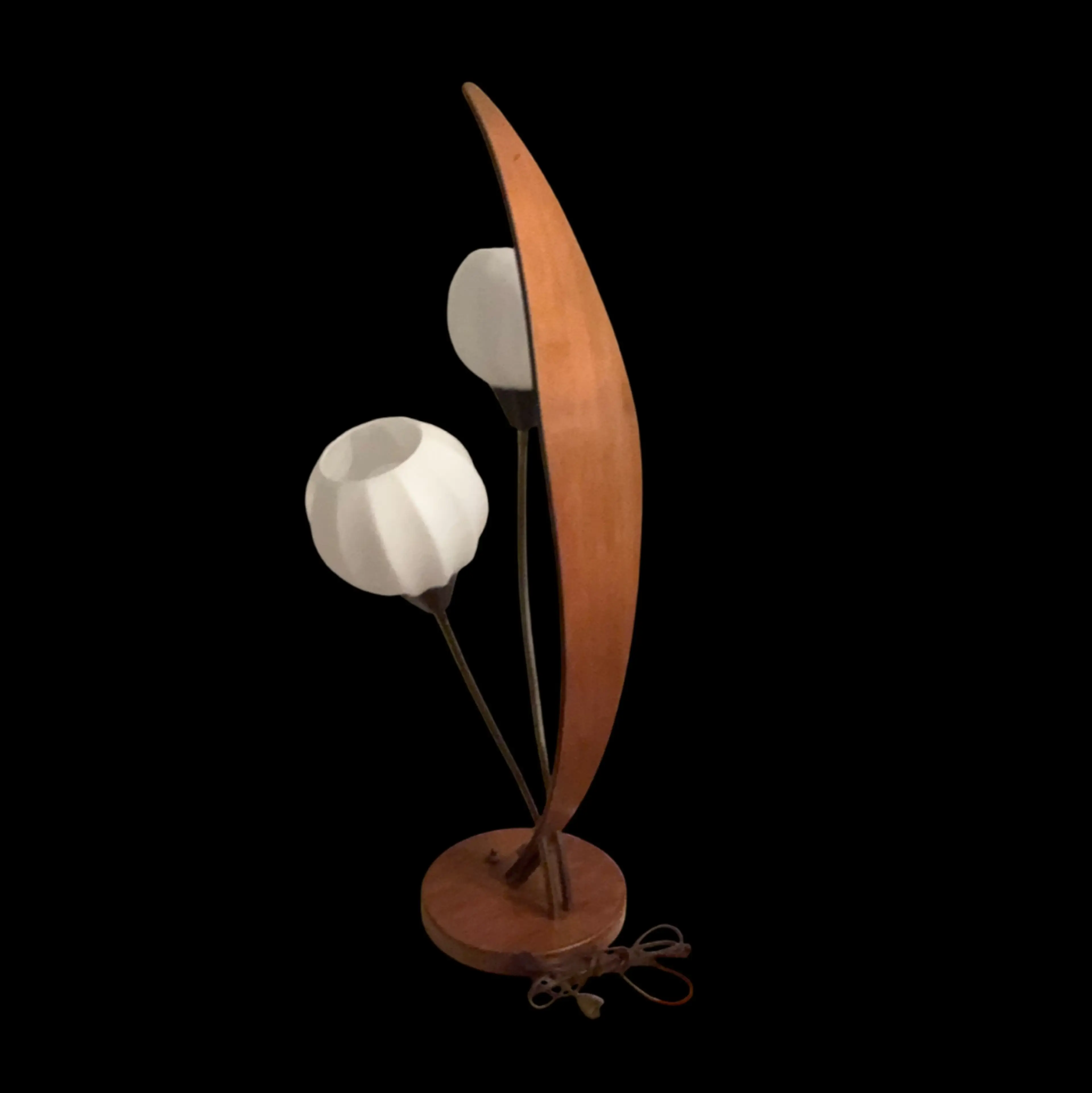 Image 4 of 12