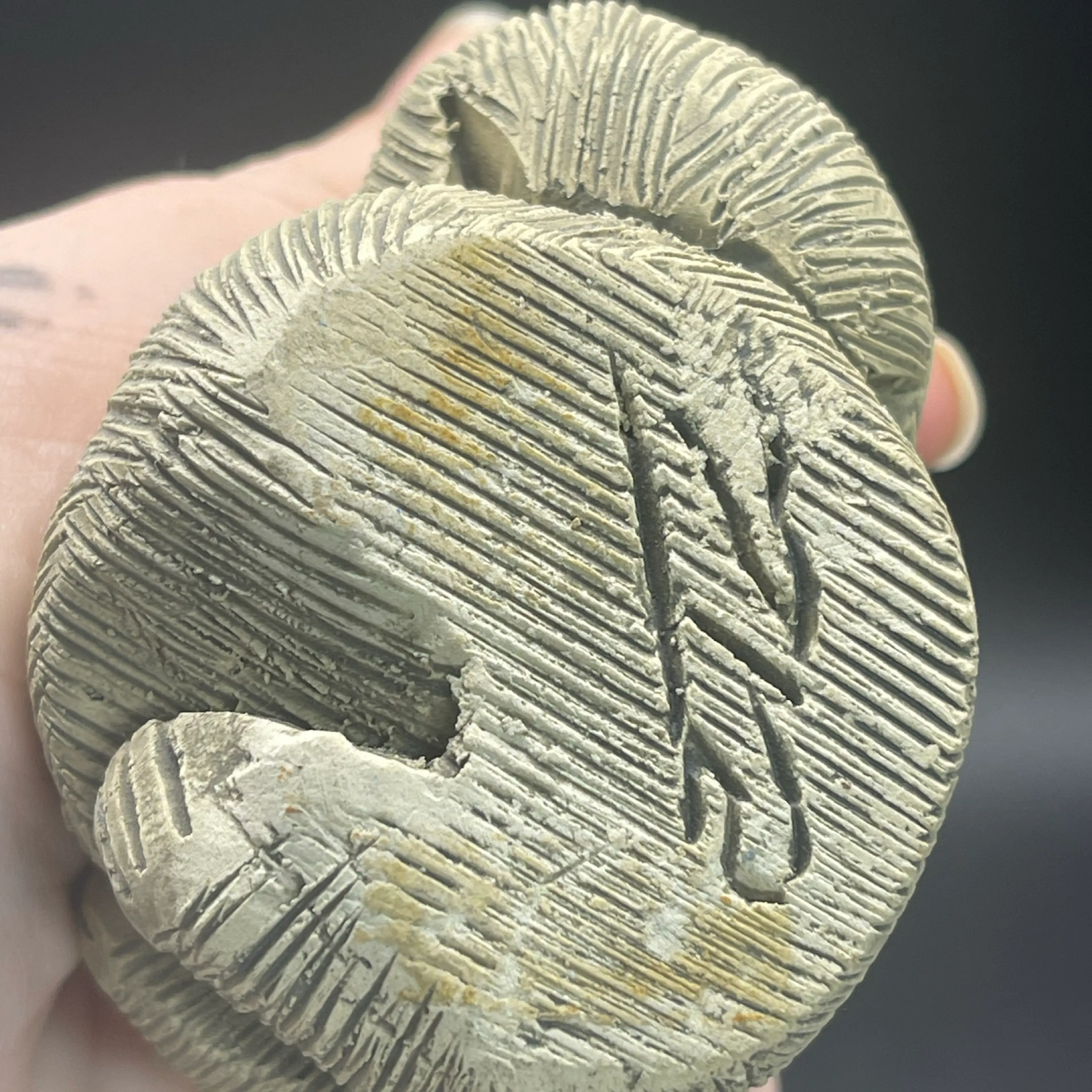 Image 3 of 3