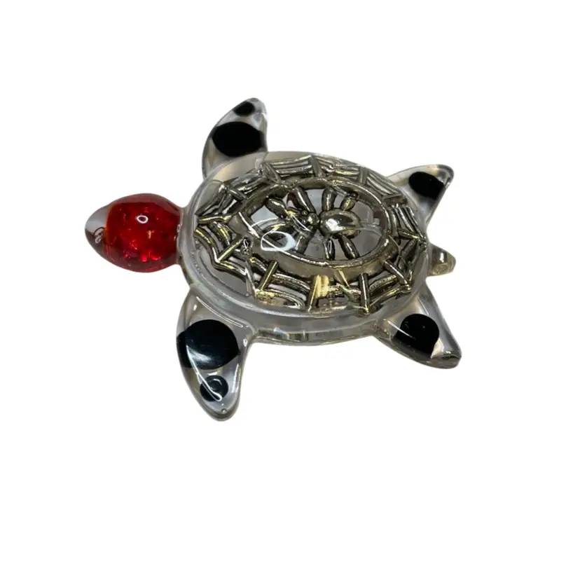 Cobweb 🕸️🕷️ "Treasure Turtles"