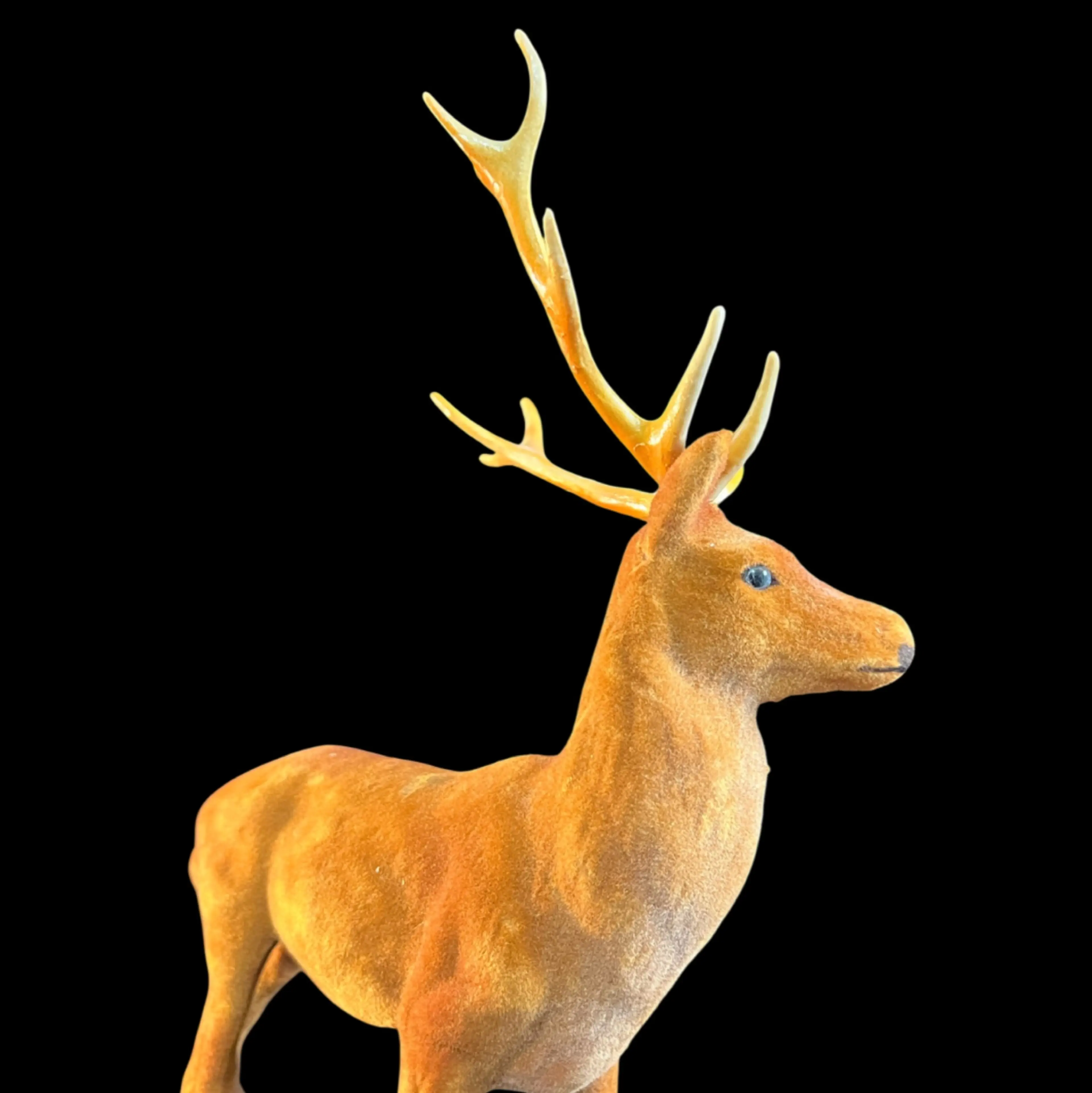 Image 4 of 8