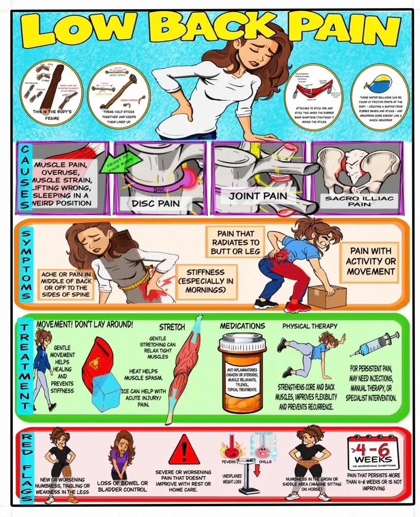 Low Back Pain Patient Education Poster | Back Pain Causes, Symptoms & Treatment | Printable Health Guide (Digital Download)