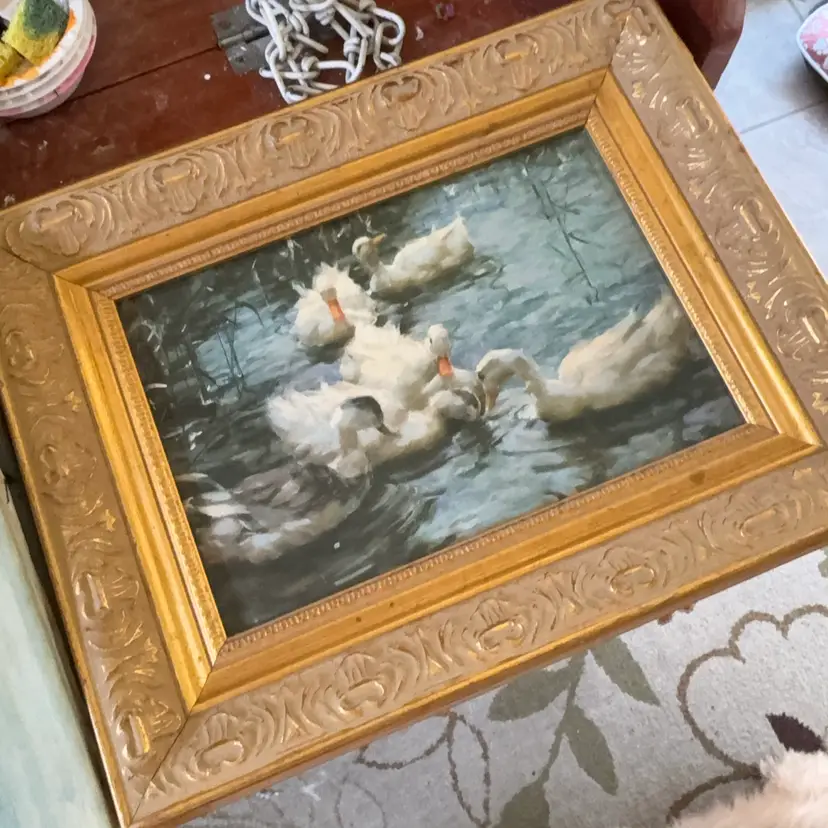 Swans