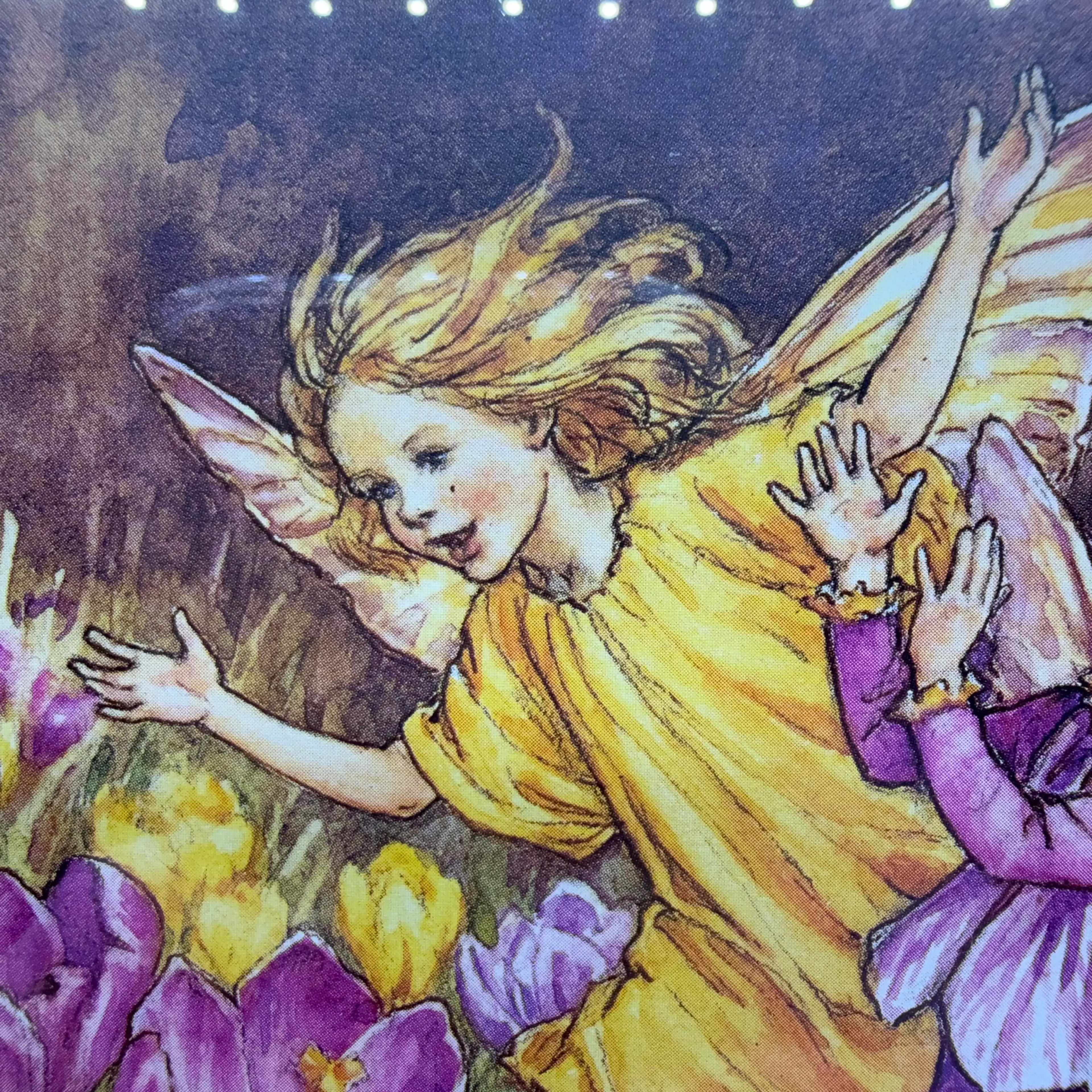 Image 4 of 6