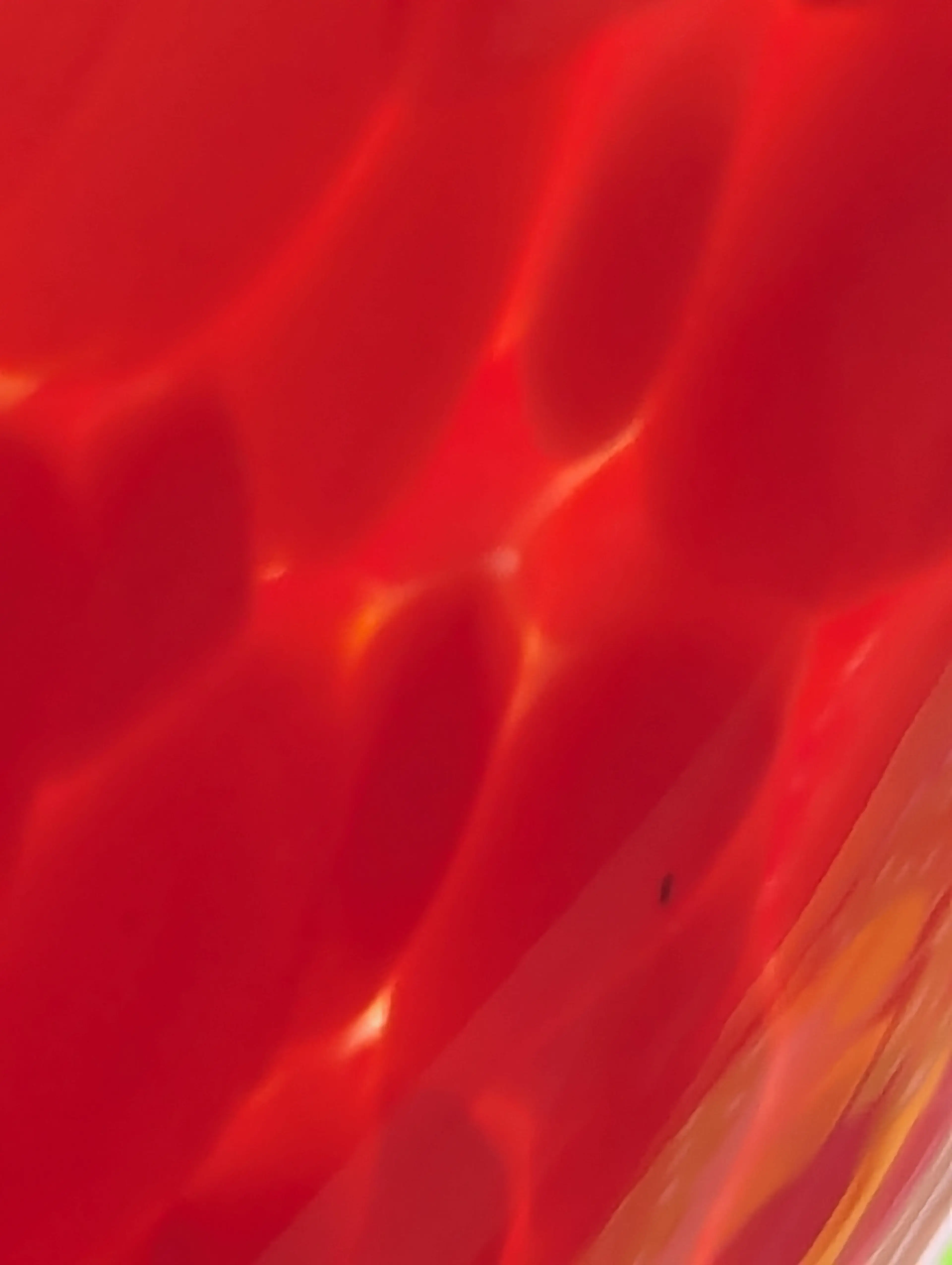 Image 2 of 9