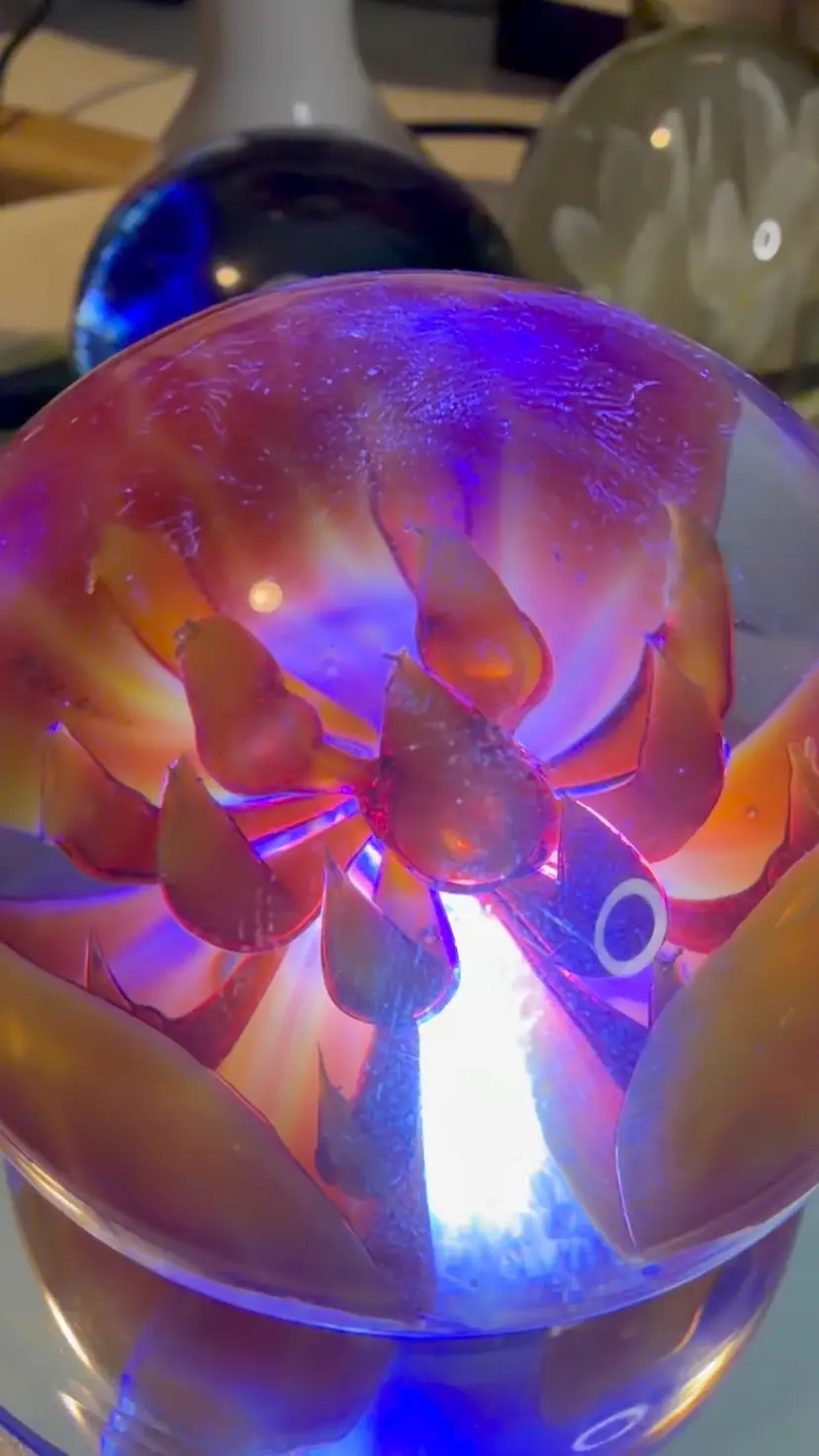 #29…. Orange and Yellow Sea Anemone Style Art Glass Paperweight.