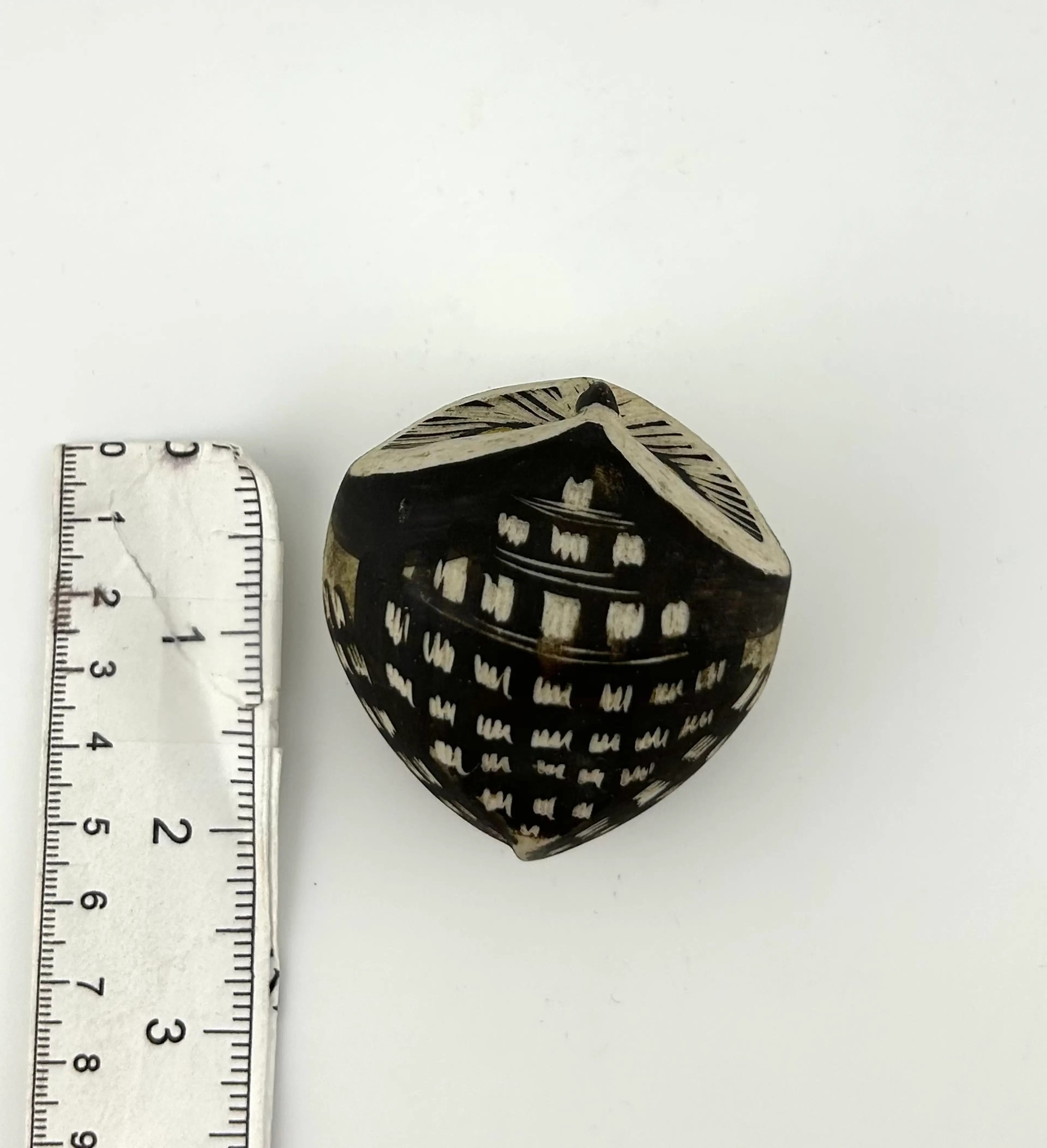 Image 5 of 8