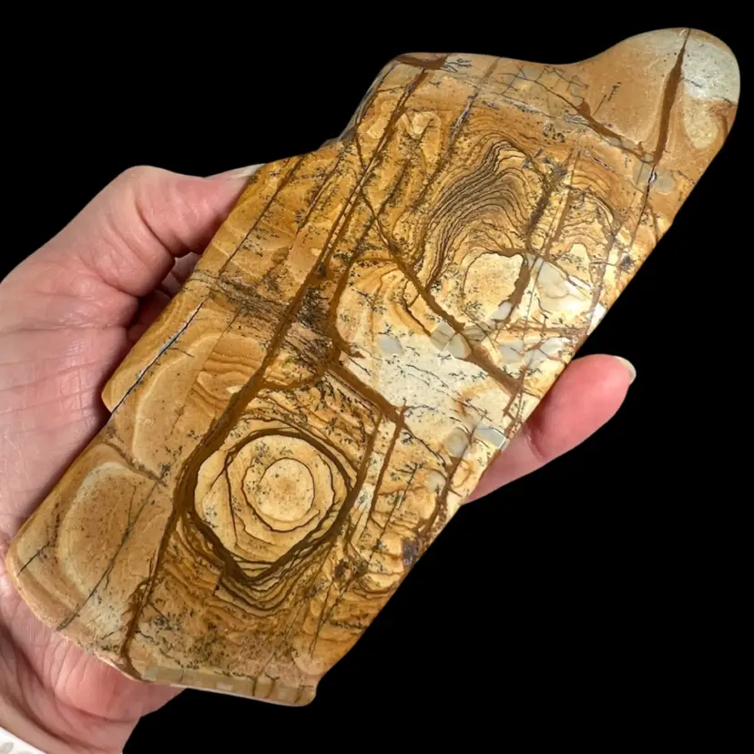 Picture Jasper 7” Natural Slab Slice – Scenic Landscape & Concentric Eye Patterns. Great for Single Display, Crystal Display, or Fairy / Gnome Garden Accent