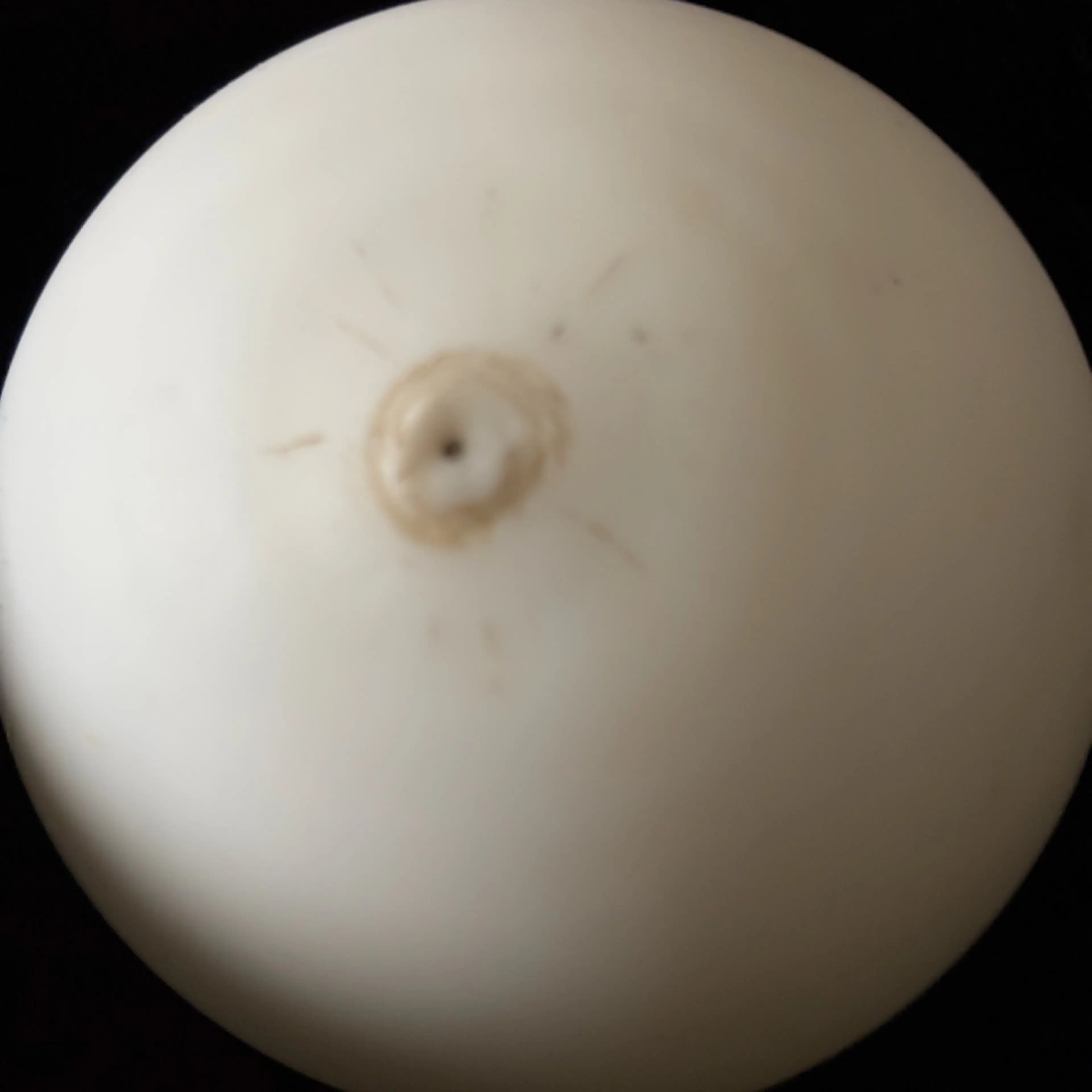Image 3 of 6