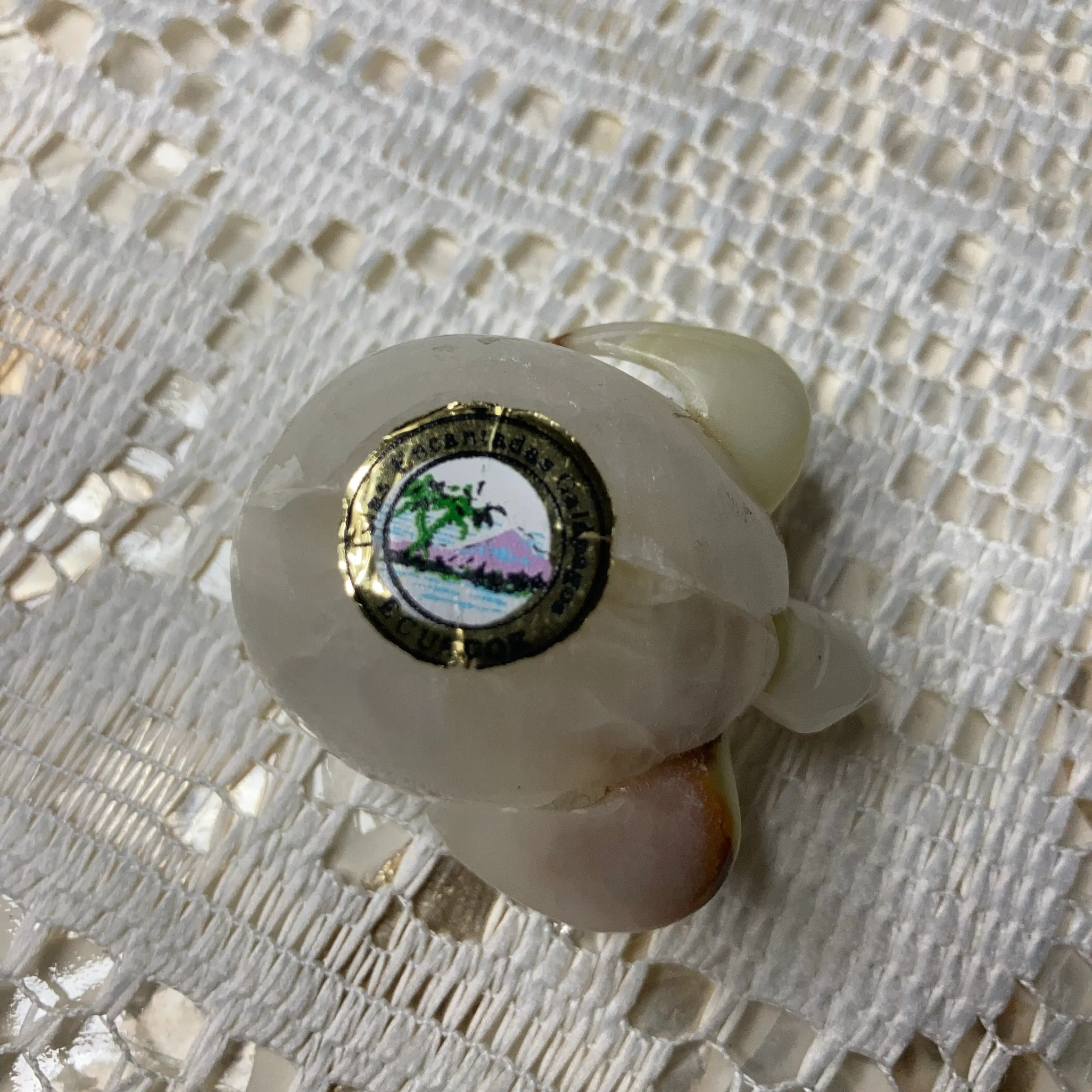 Image 5 of 6