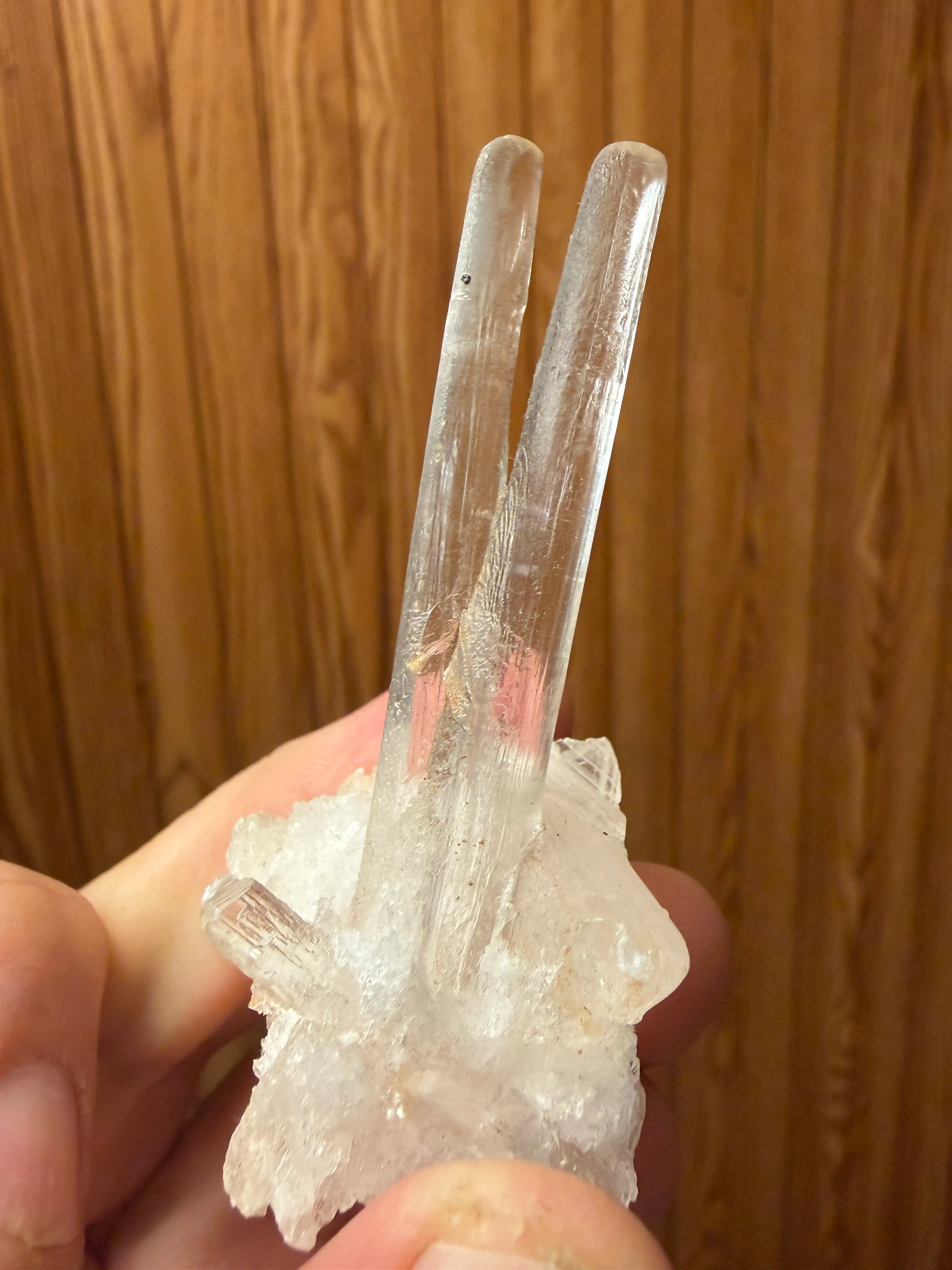 Gypsum crystal specimen from the Larry Krause Collection