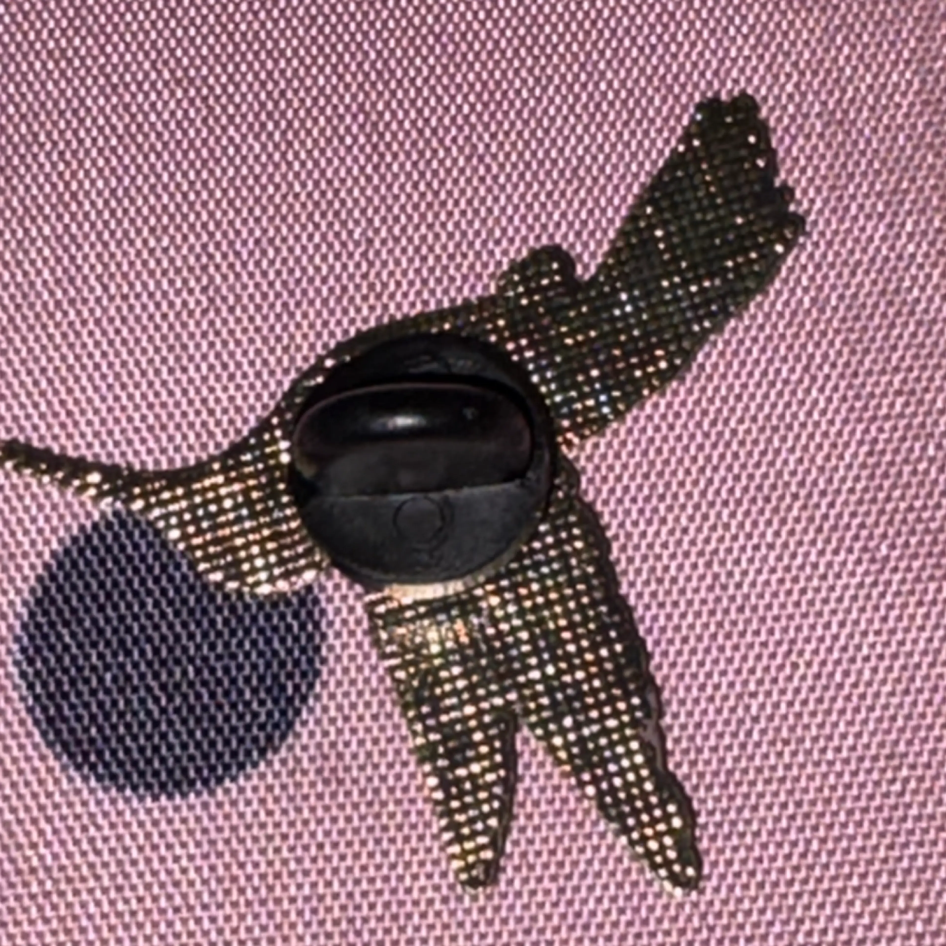 Image 2 of 2