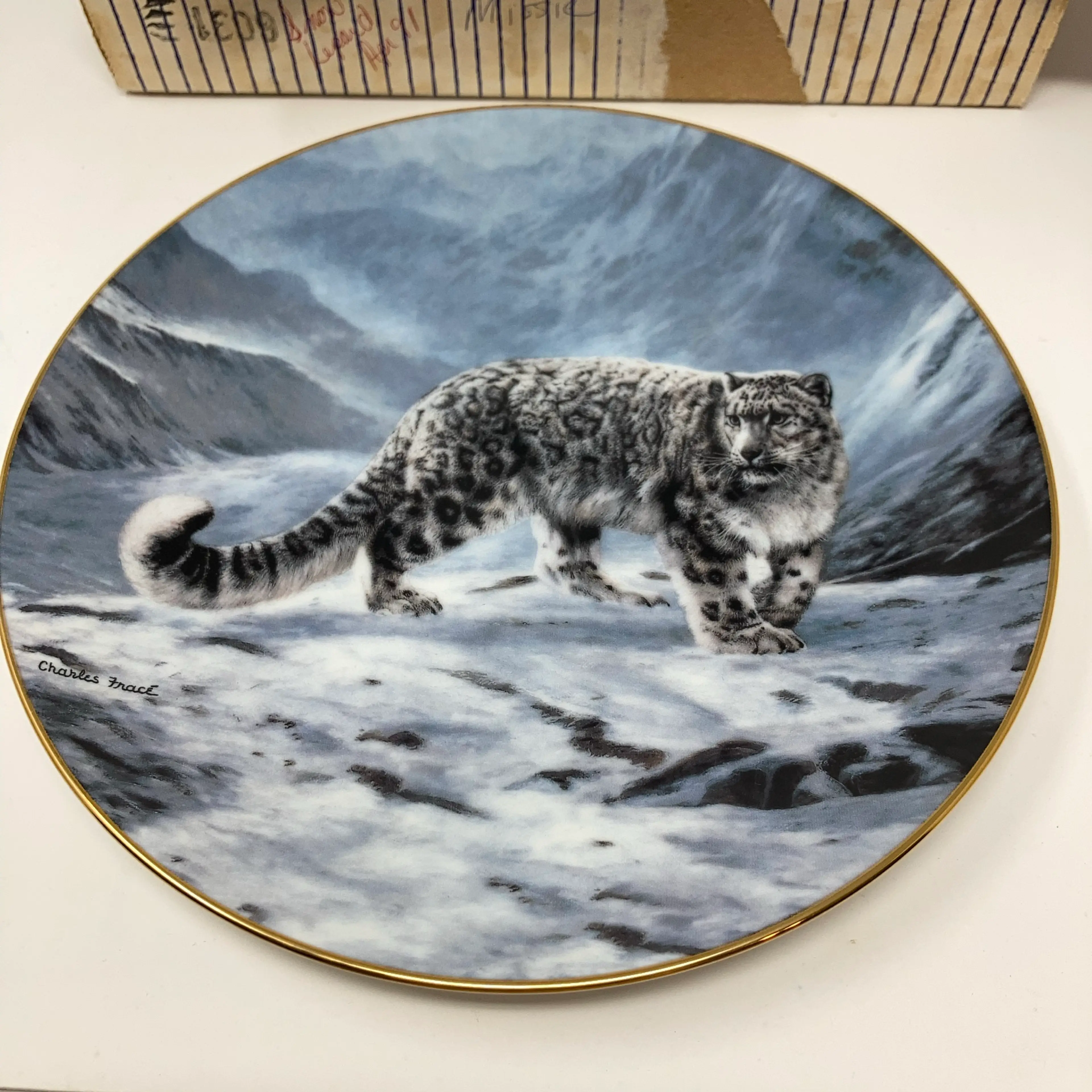 Image 2 of 11