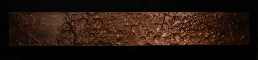 Moon Surface Walnut Wall Art