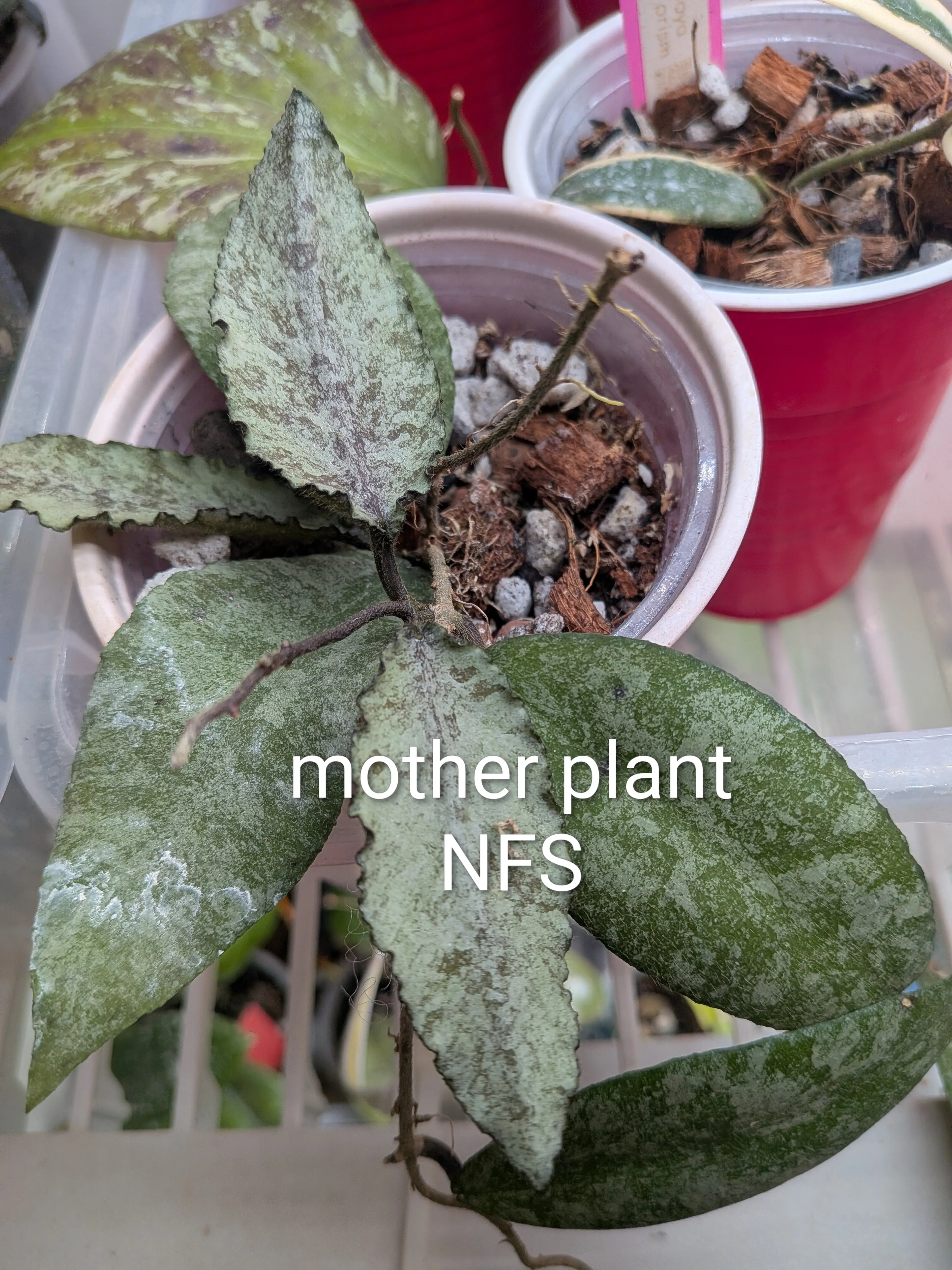 Image 4 of 4