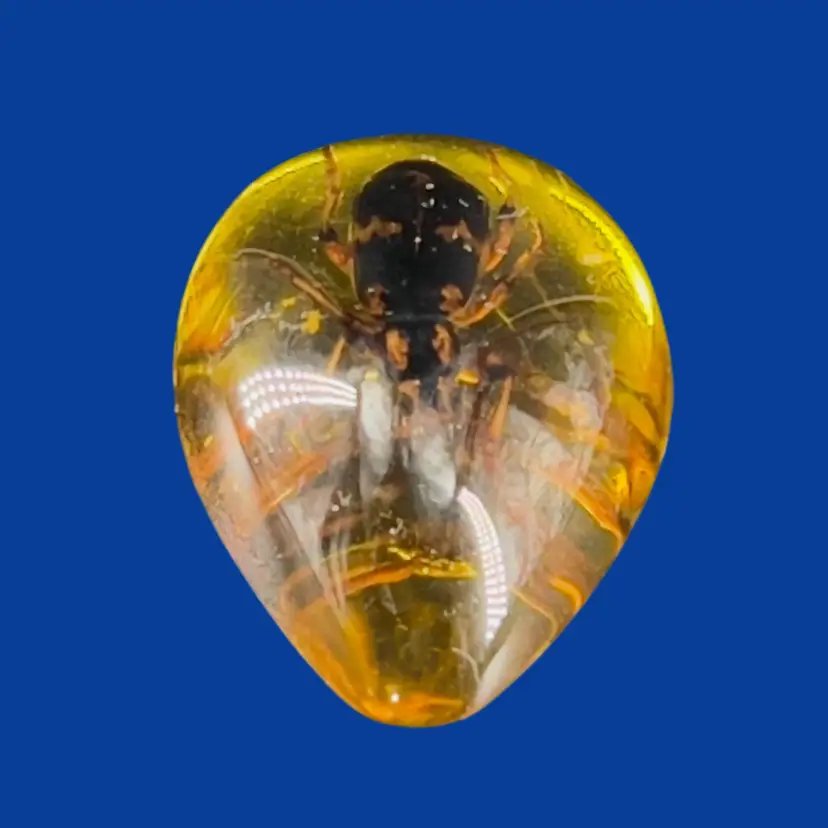 #054- Acrylic Encased Bug Cabochon Arthropod
