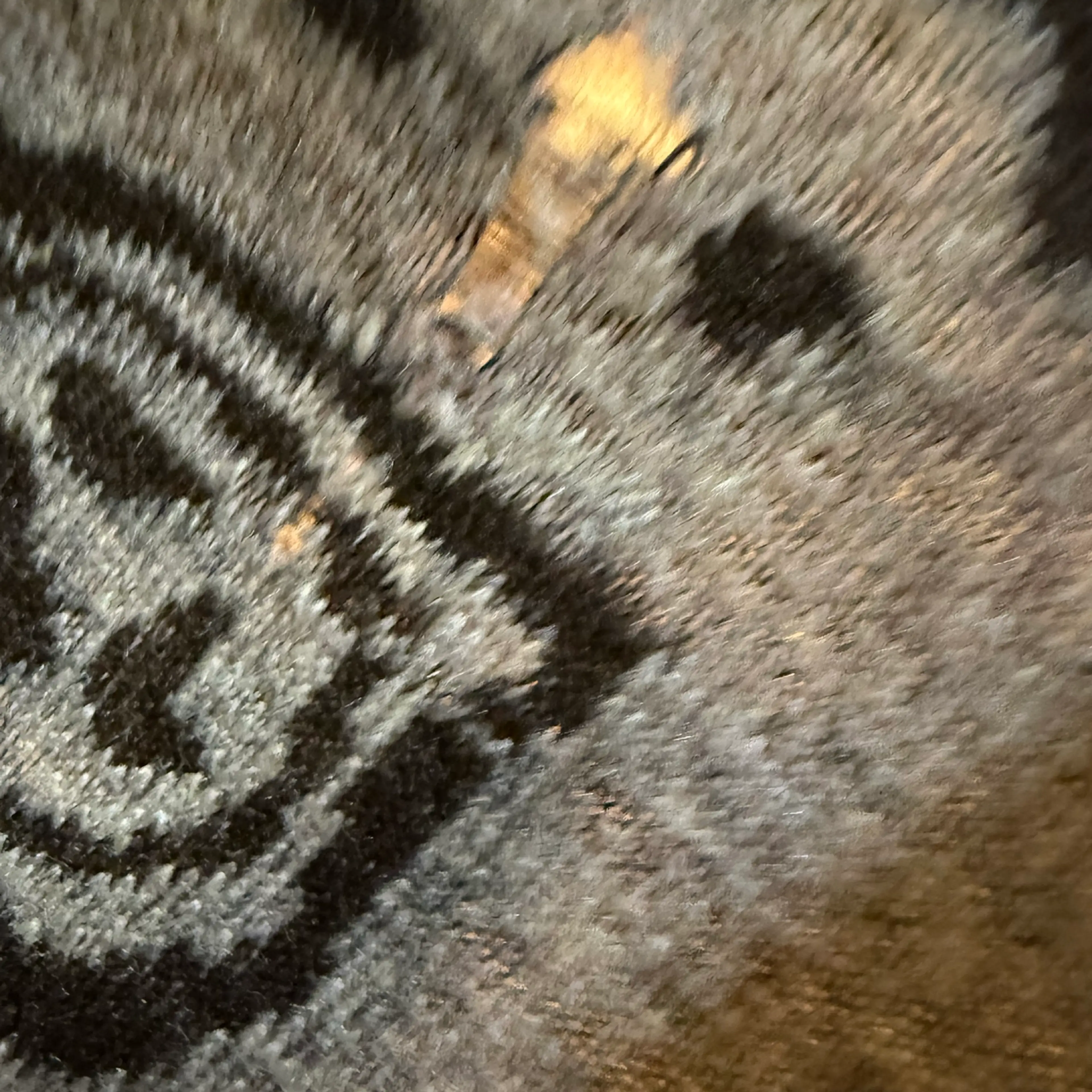 Image 3 of 4