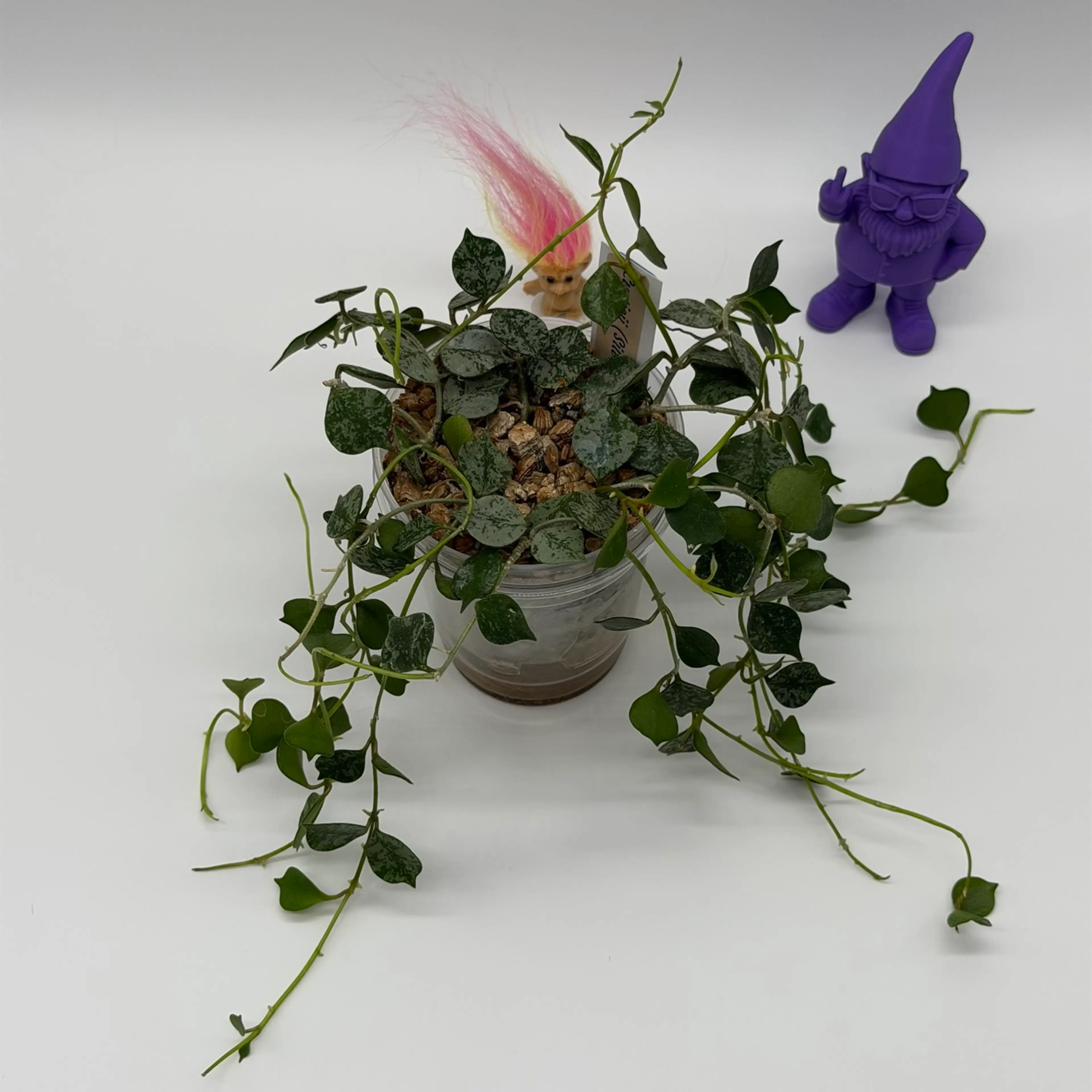 Image 2 of 3