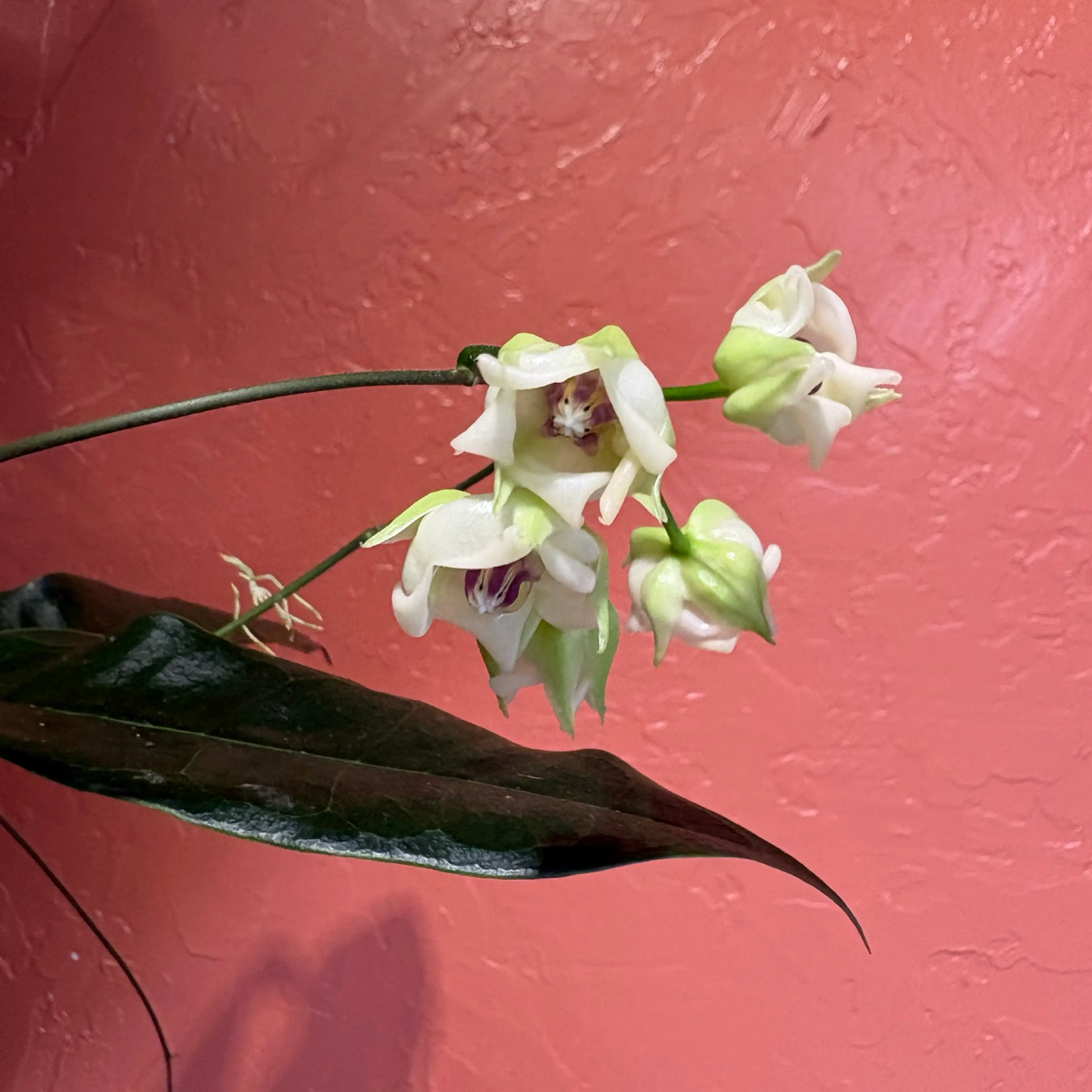 Image 3 of 3